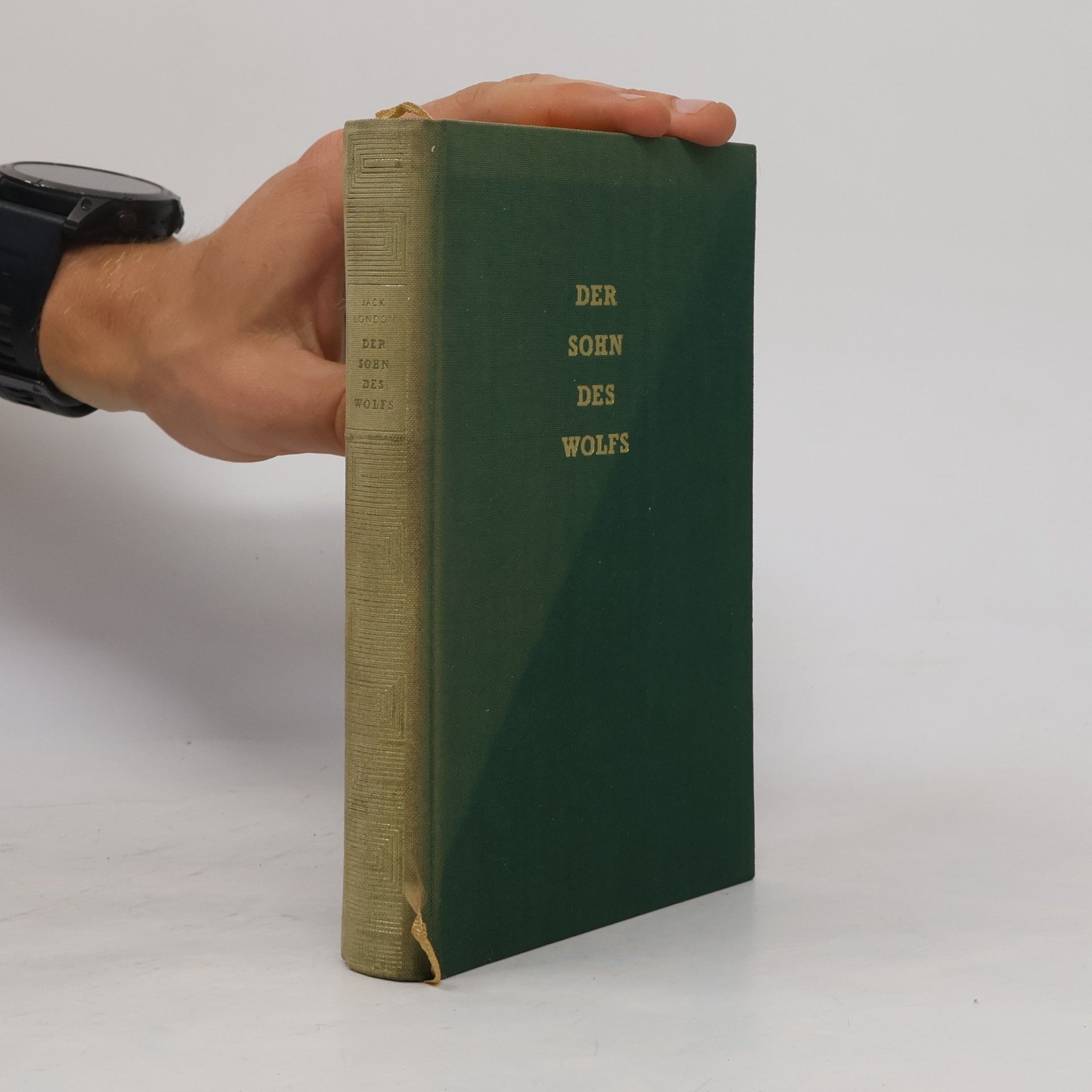 Autorenkollektiv Der Sohn des Wolfs