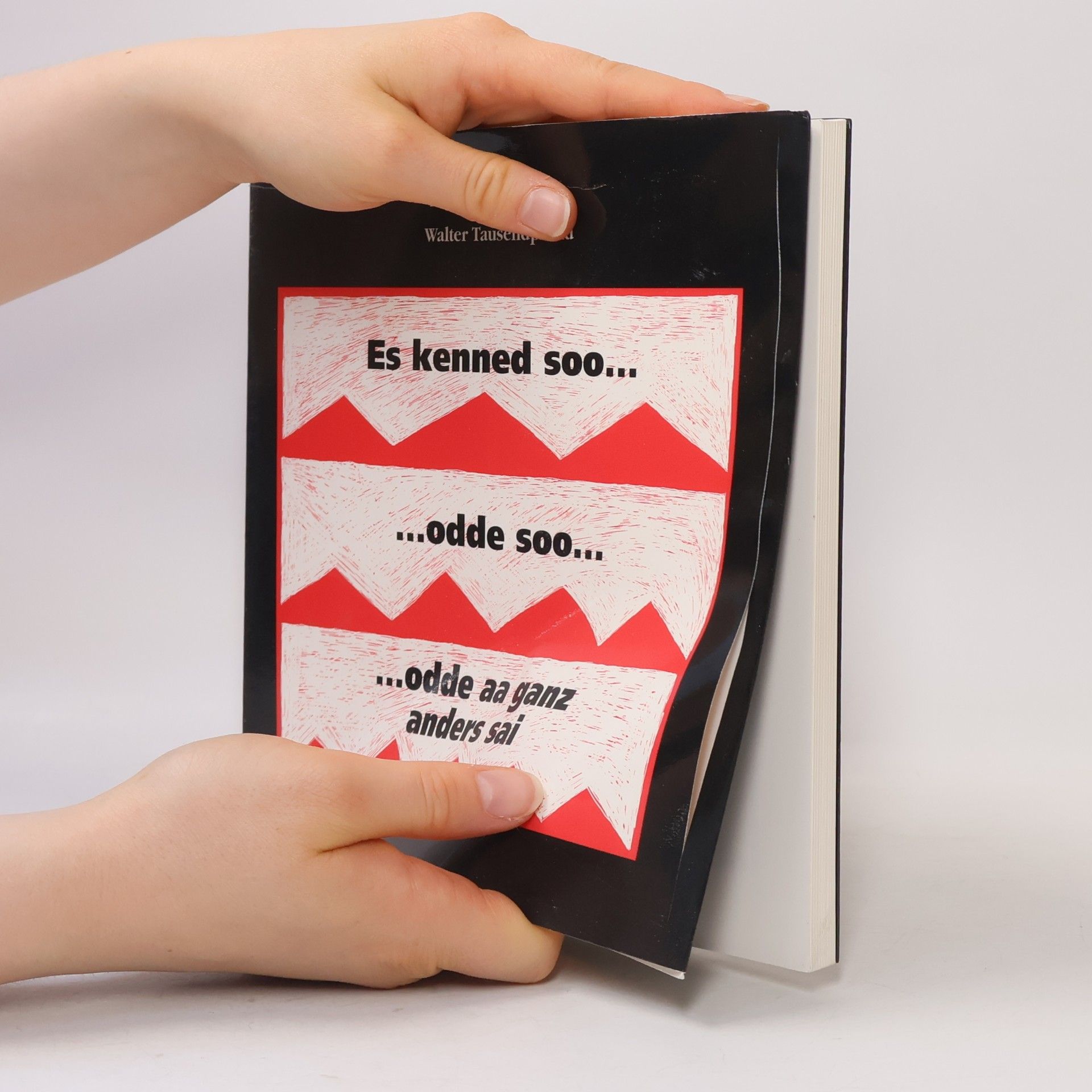 Walter Tausendpfund Es kenned soo… odde soo… odde aa ganz anders sai