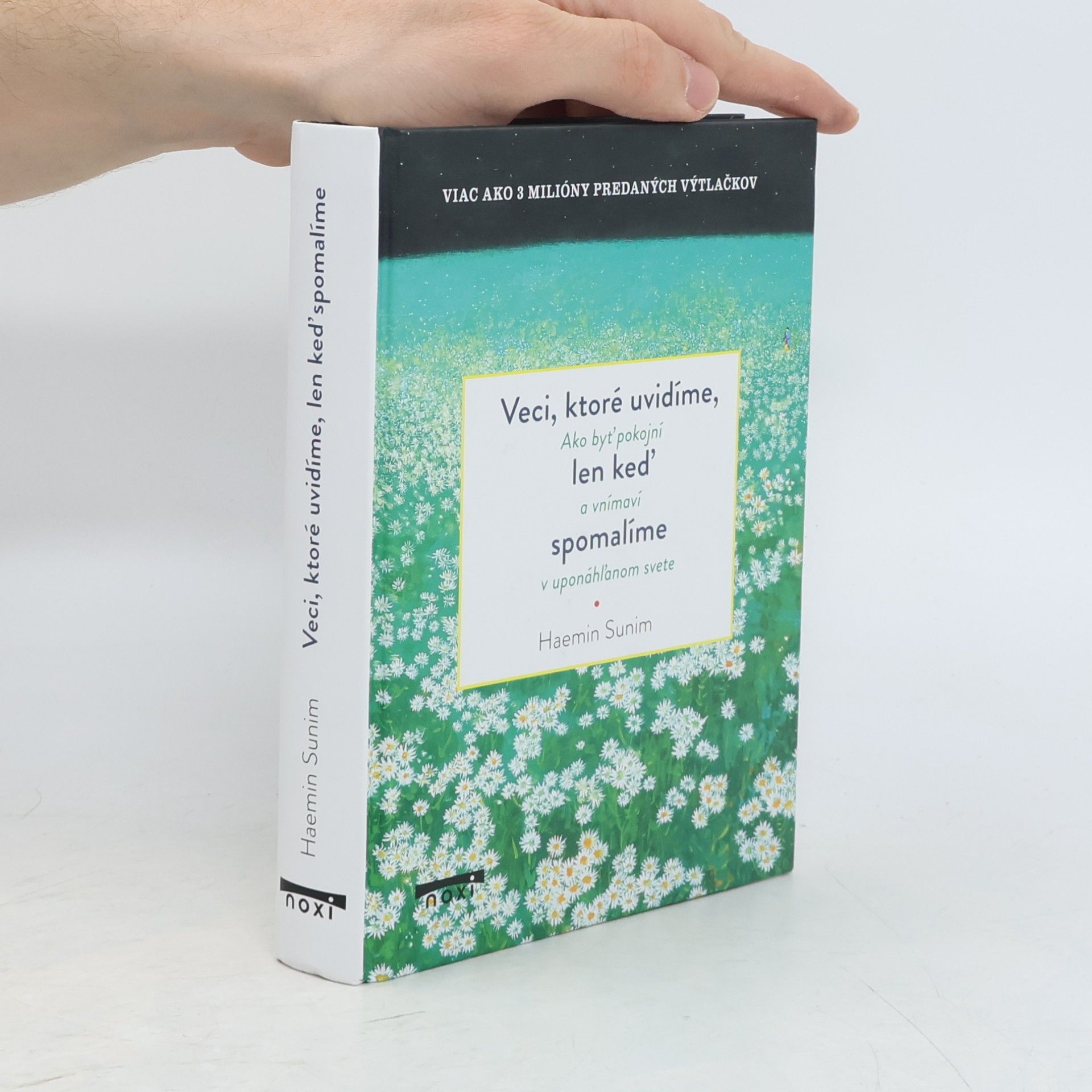 Sunim Haemin Veci, ktoré uvidíme, len keď spomalíme