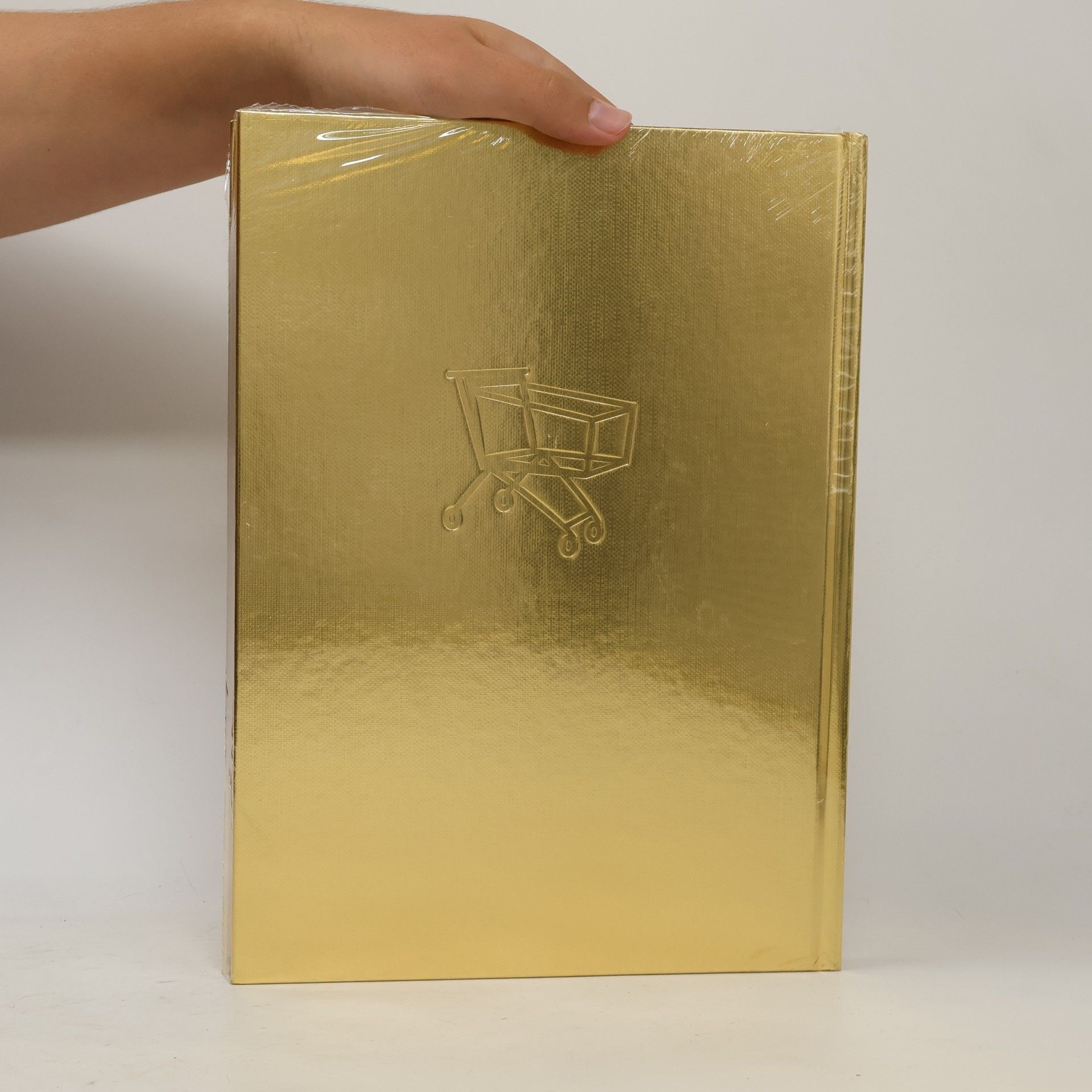 Kolektív autorov Pasta Oner. The Gilded Age