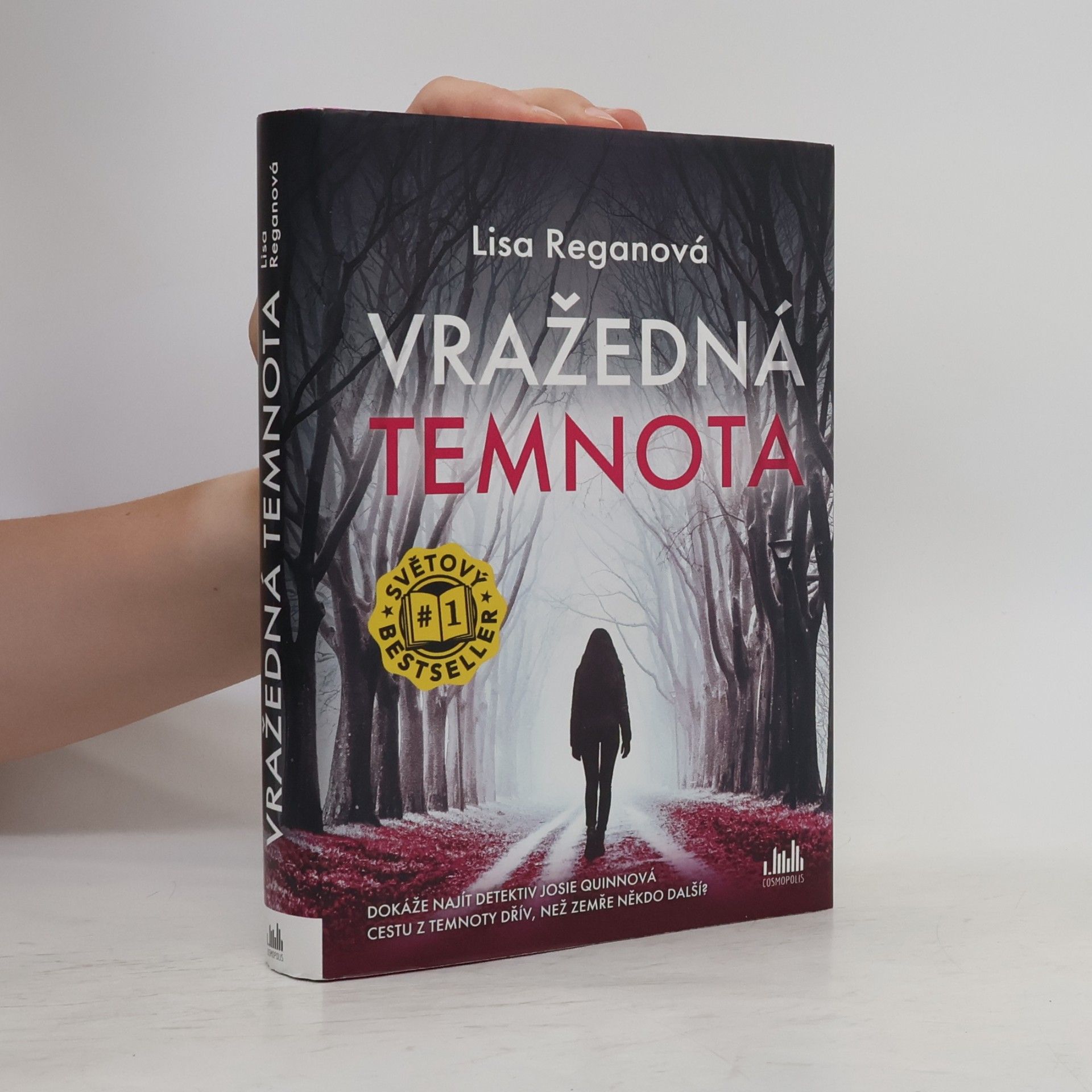Lisa Regan Vražedná temnota