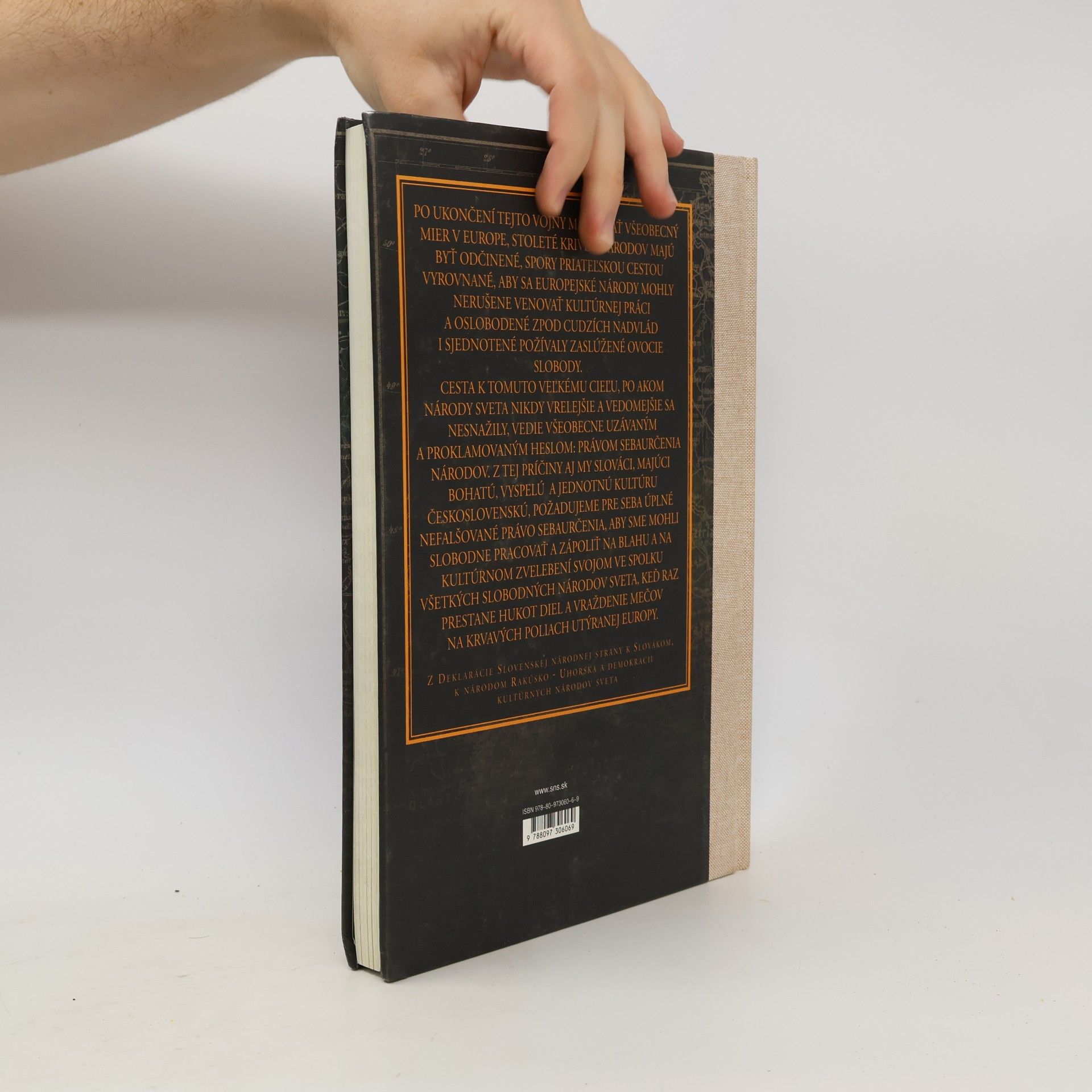 Autorenkollektiv Slovenská národná strana a Slovensko na prelome vekov 1871-1918