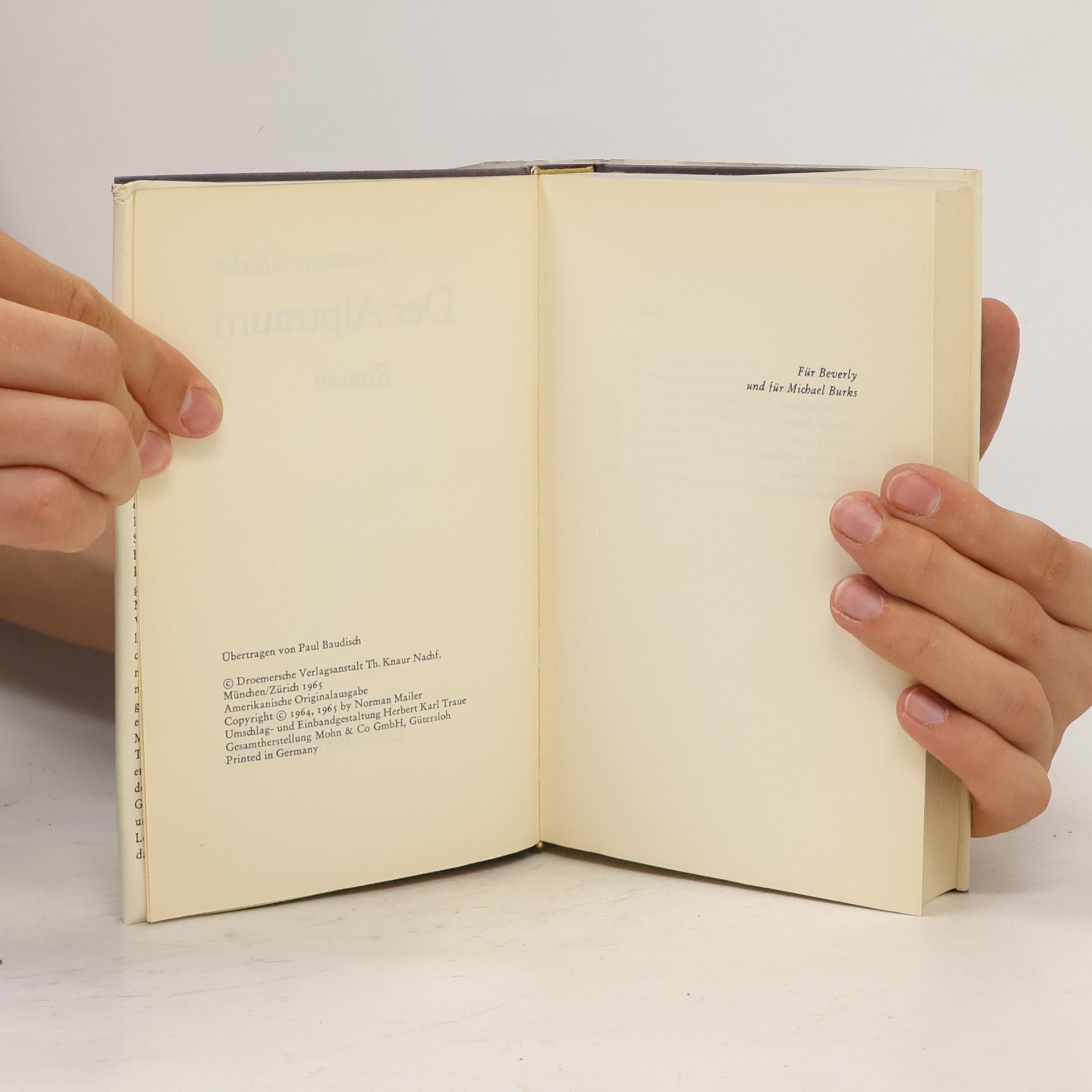 Norman Mailer Der Alptraum