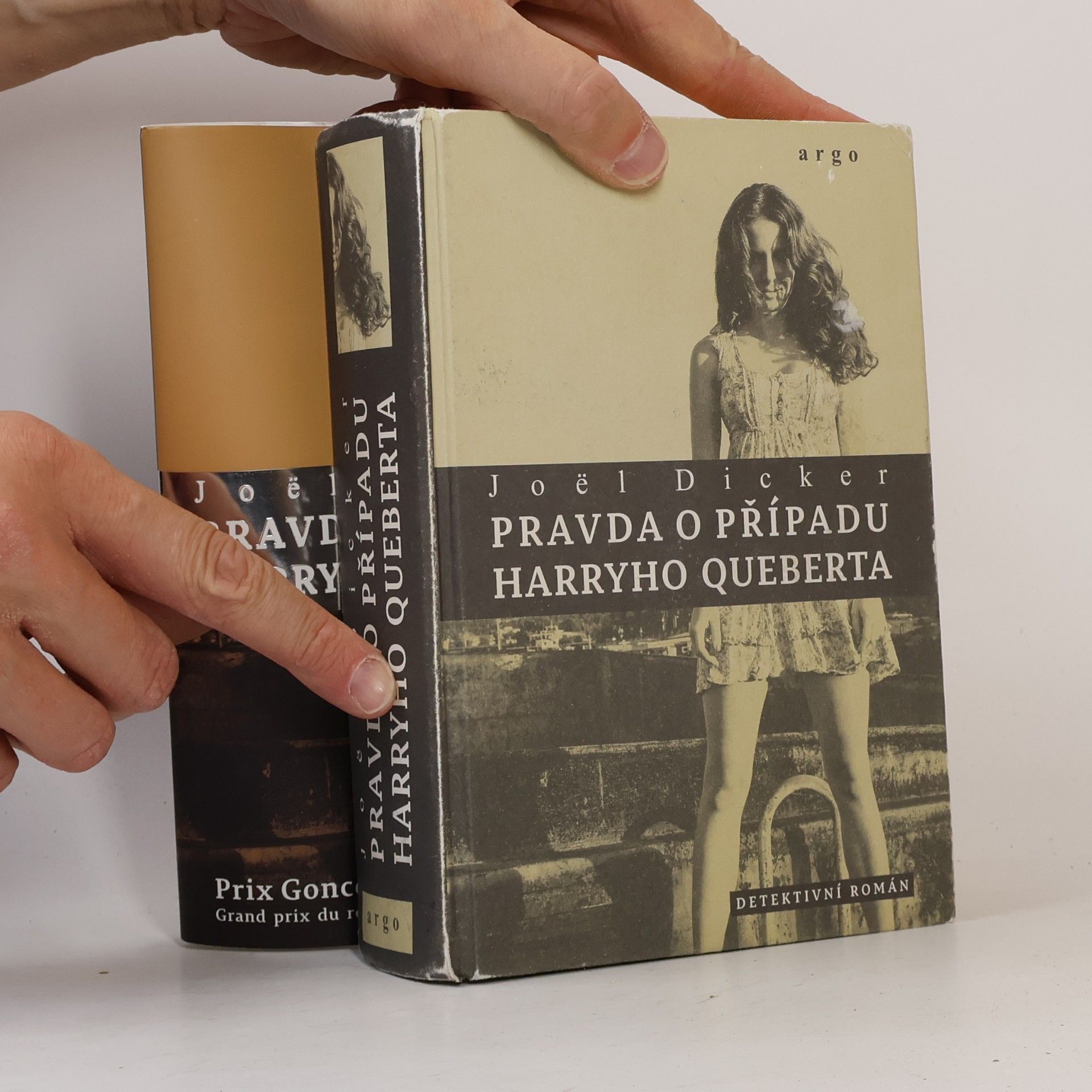 Joël Dicker Pravda o případu Harryho Queberta