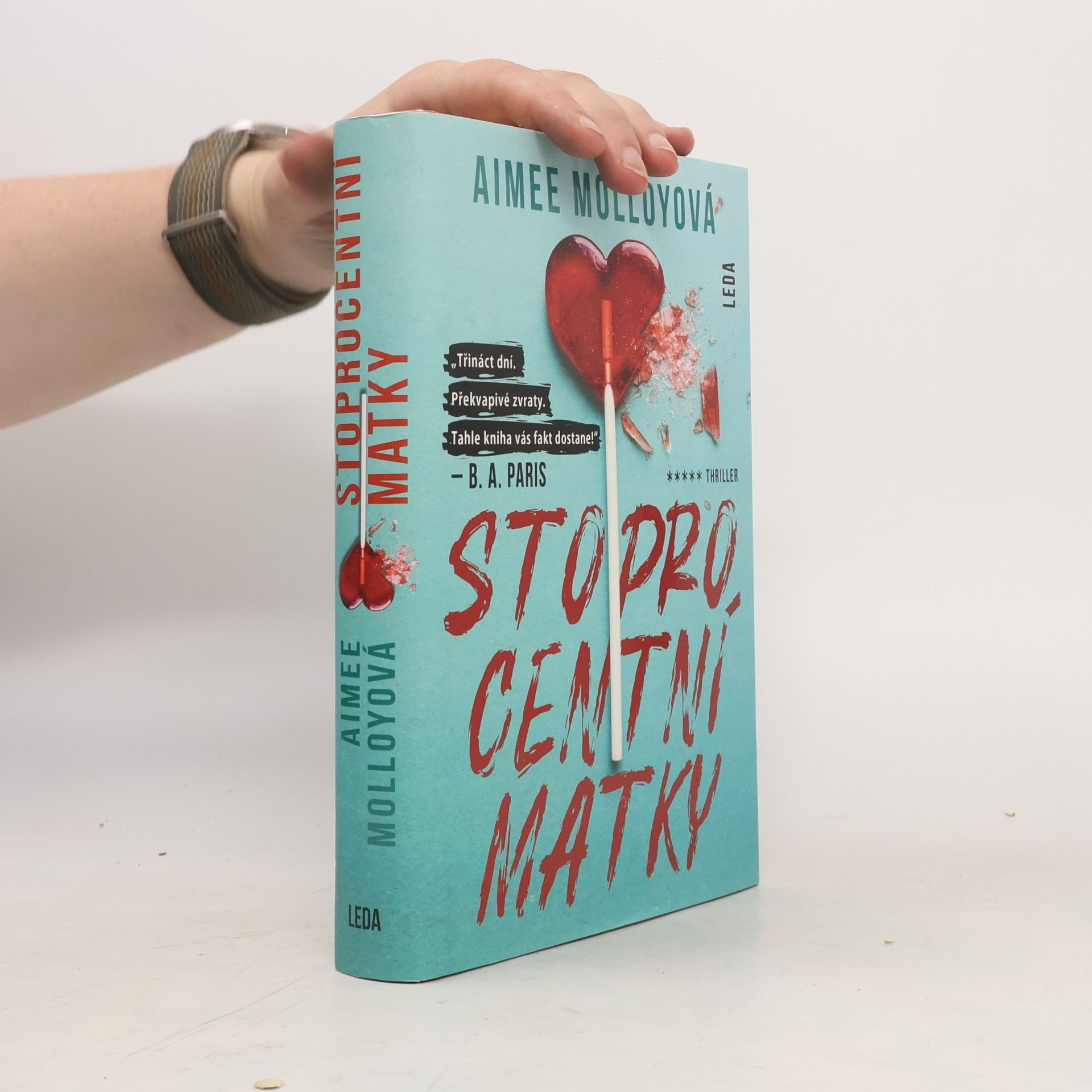 Aimee Molloy Stoprocentní matky