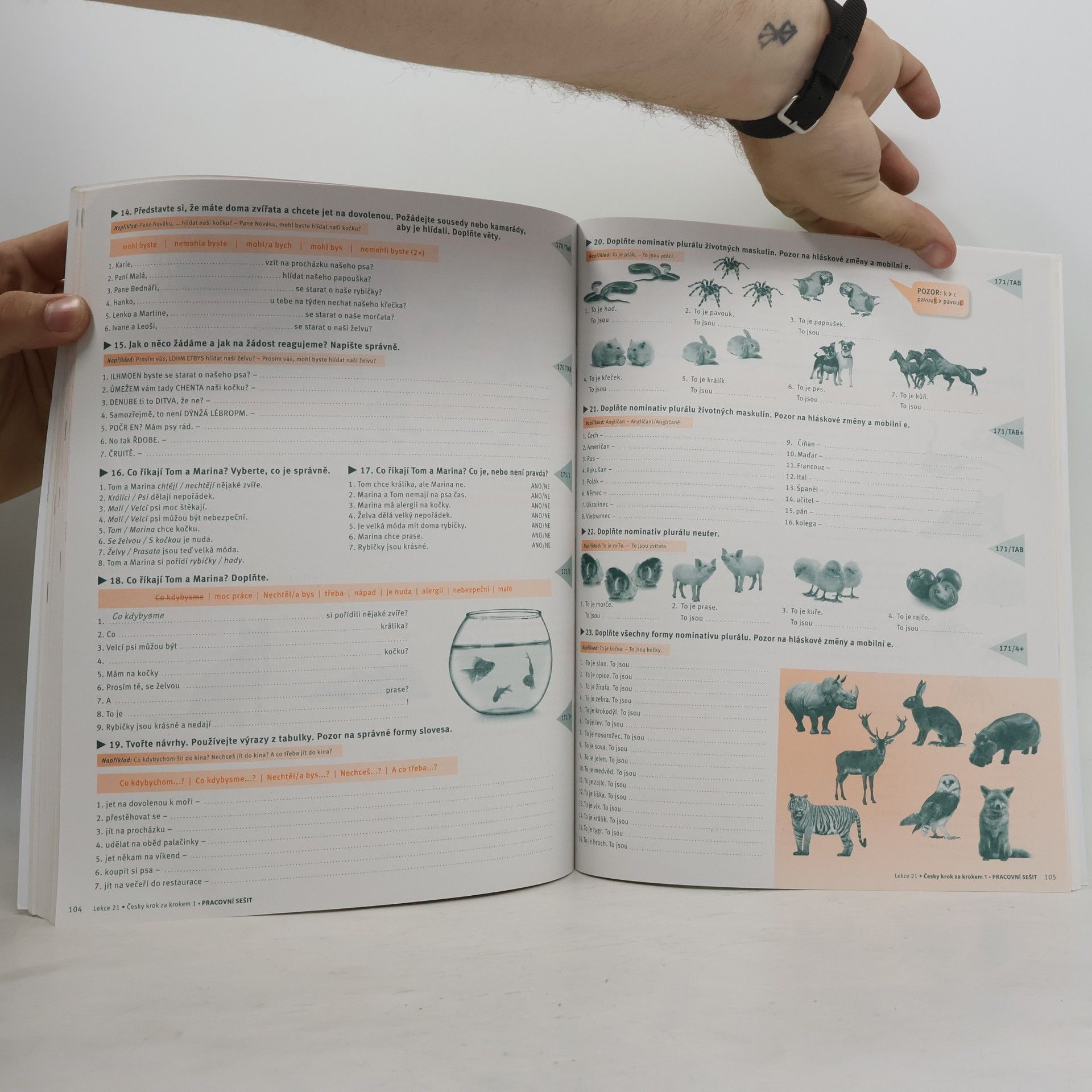 Lída Holá Česky krok za krokem 1. A1-A2. Pracovní sešit 13–24