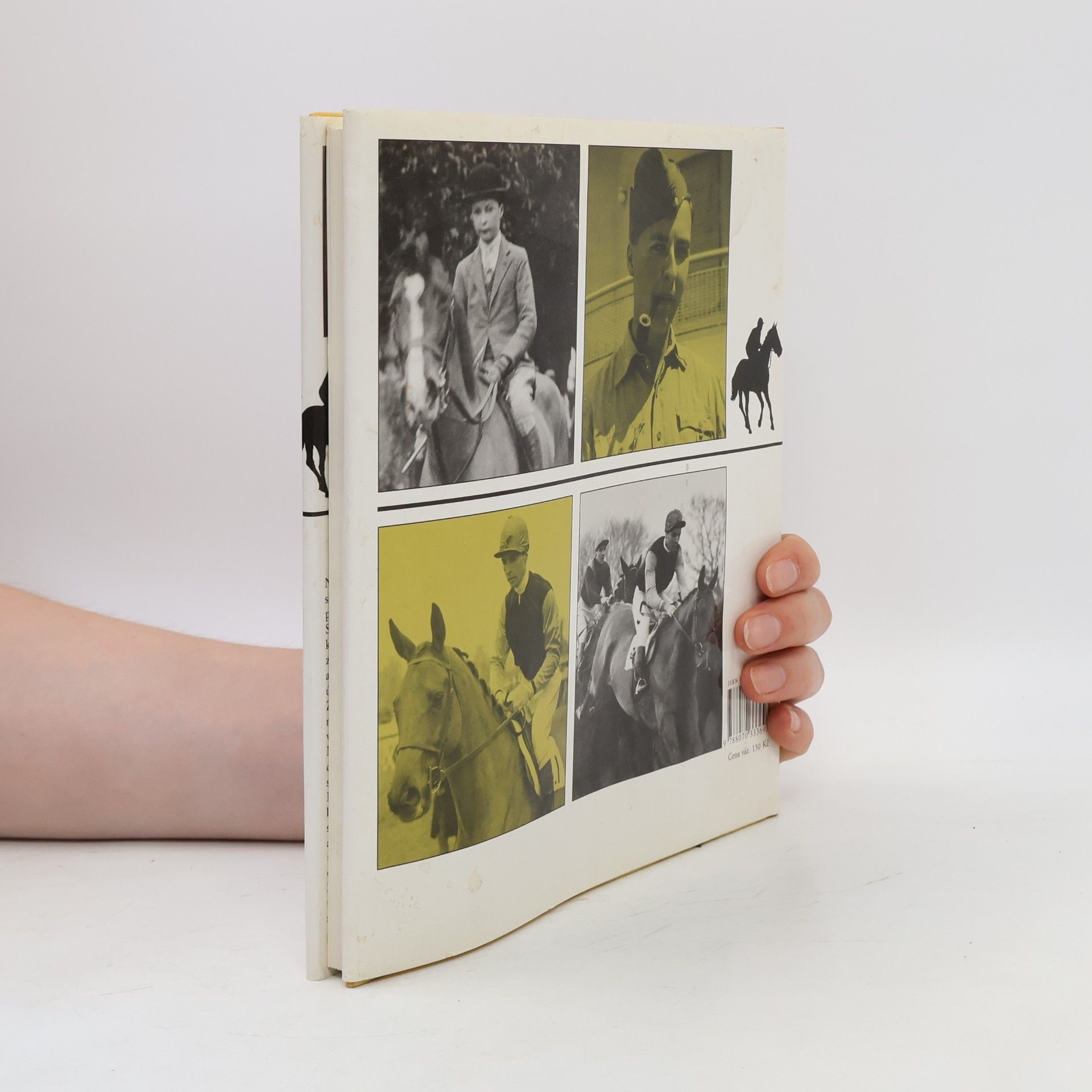 Bryony Fuller Dick Francis: žokej steeplechase