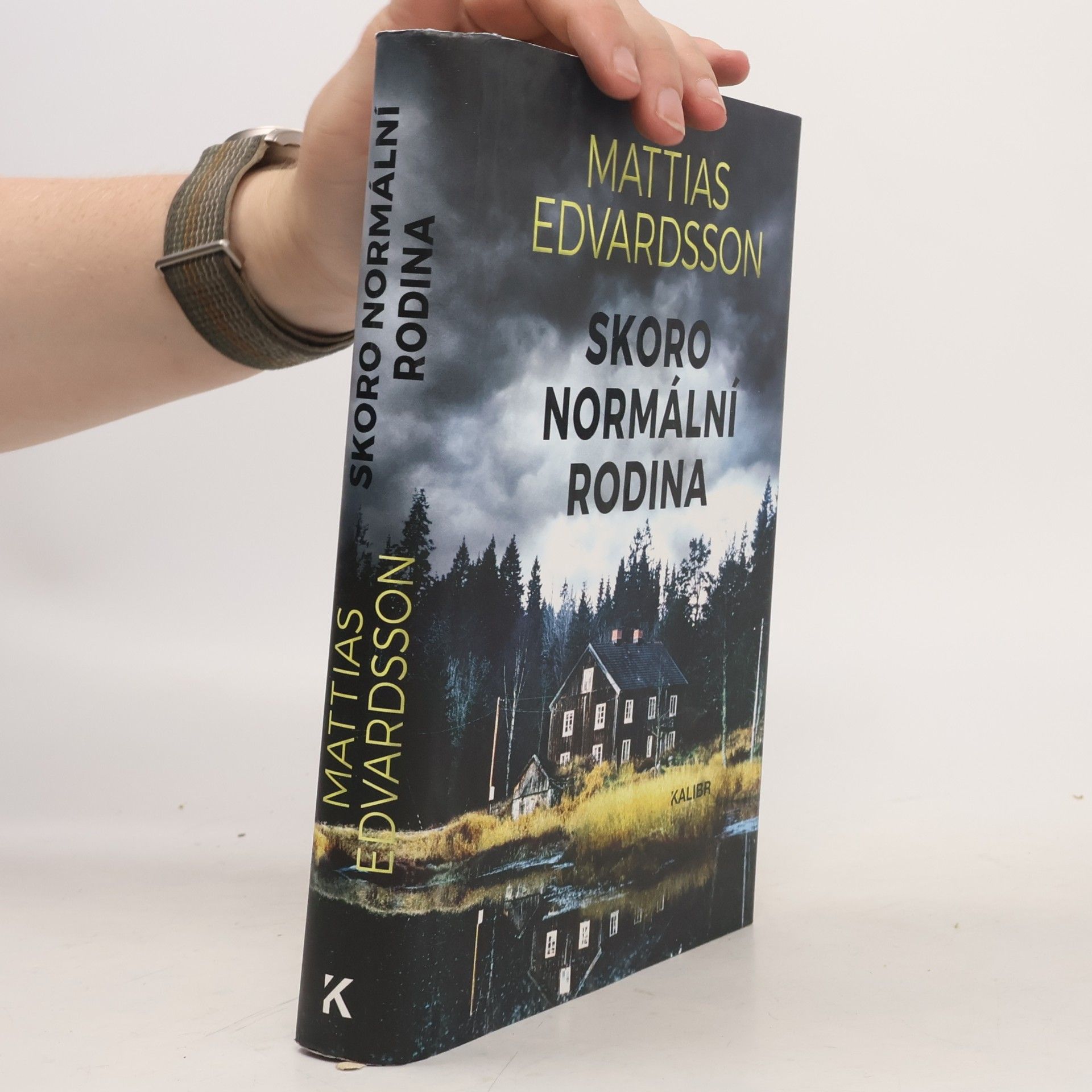 Mattias Edvardsson Skoro normální rodina