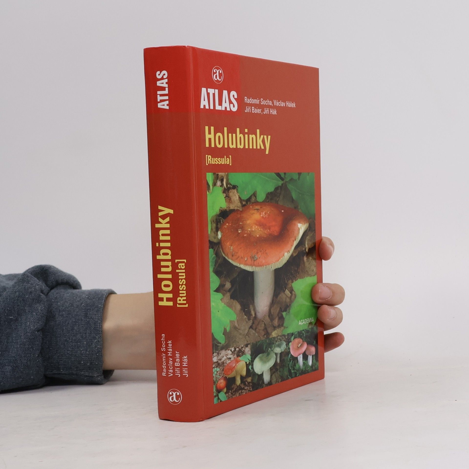 Radomír Socha Holubinky = (Russula)