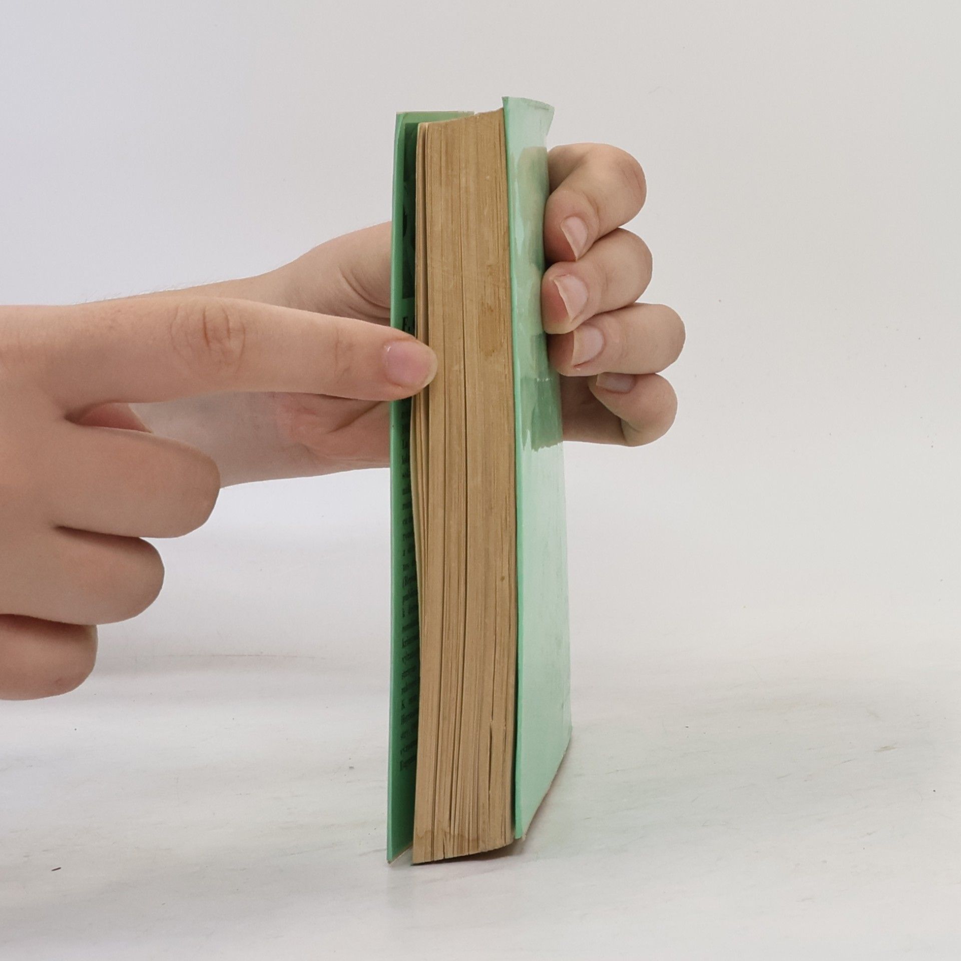 Francisco García Pavón Předtucha komisaře Plinia