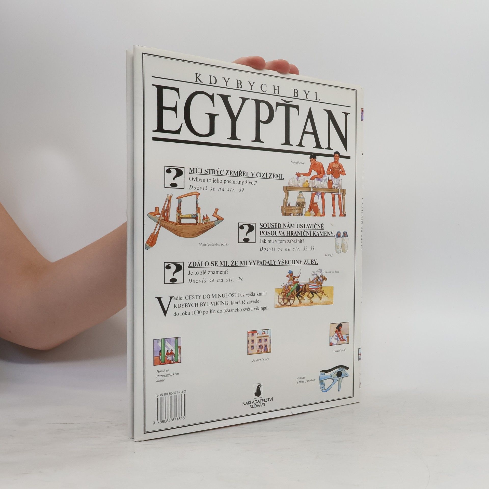 Jacqueline Morley Kdybych byl Egypťan