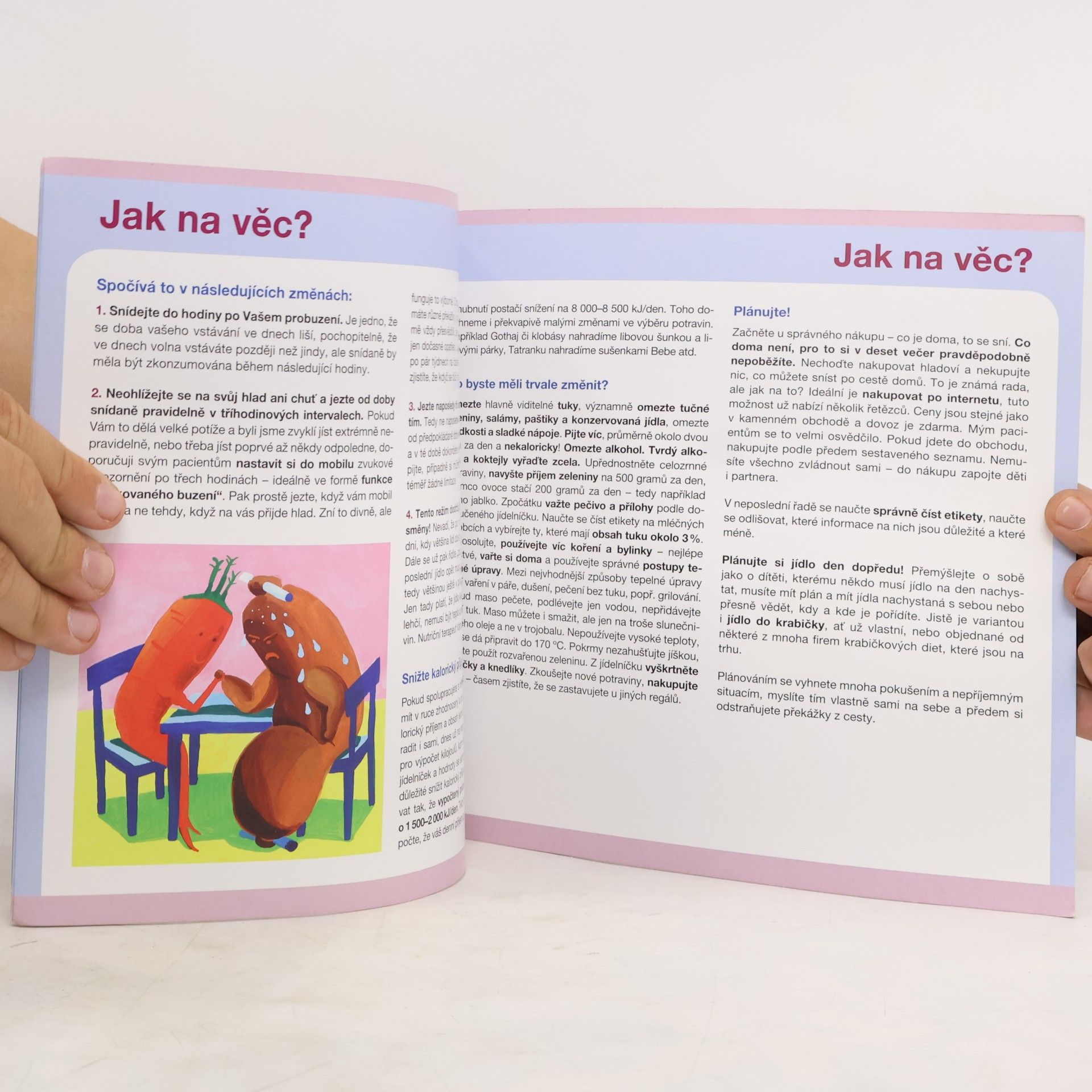 Dita Pichlerová Hubnutí v kostce