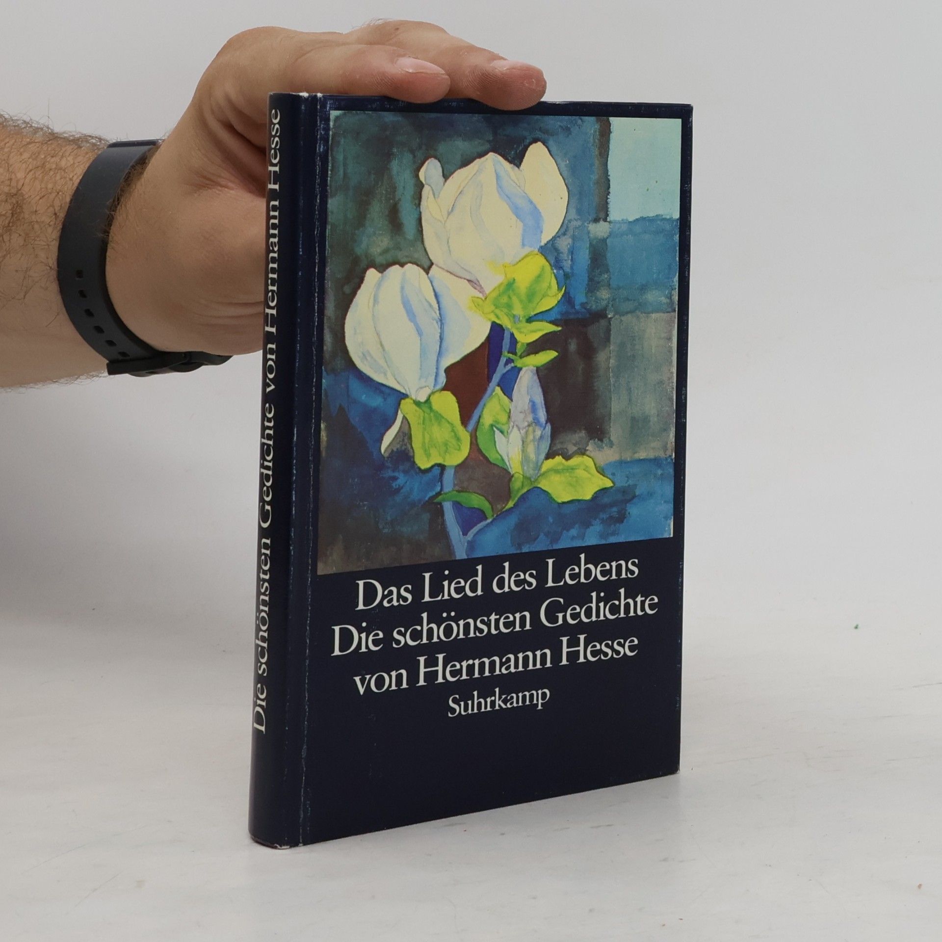 Hermann Hesse Das Lied des Lebens. Die schönsten Gedichte von Hermann Hesse