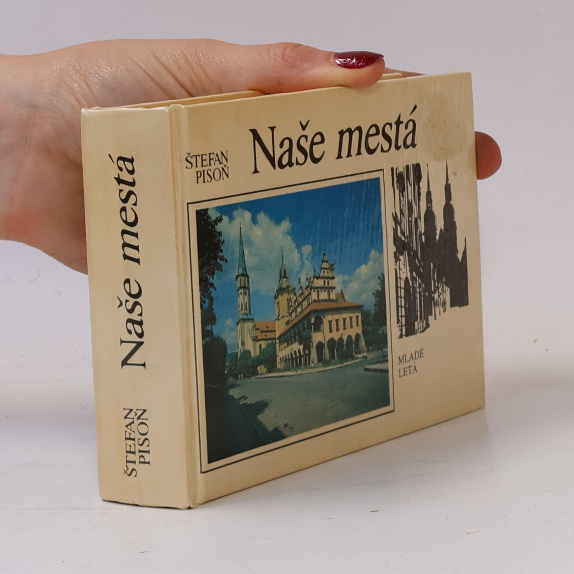 Štefan Pisoň Naše mestá