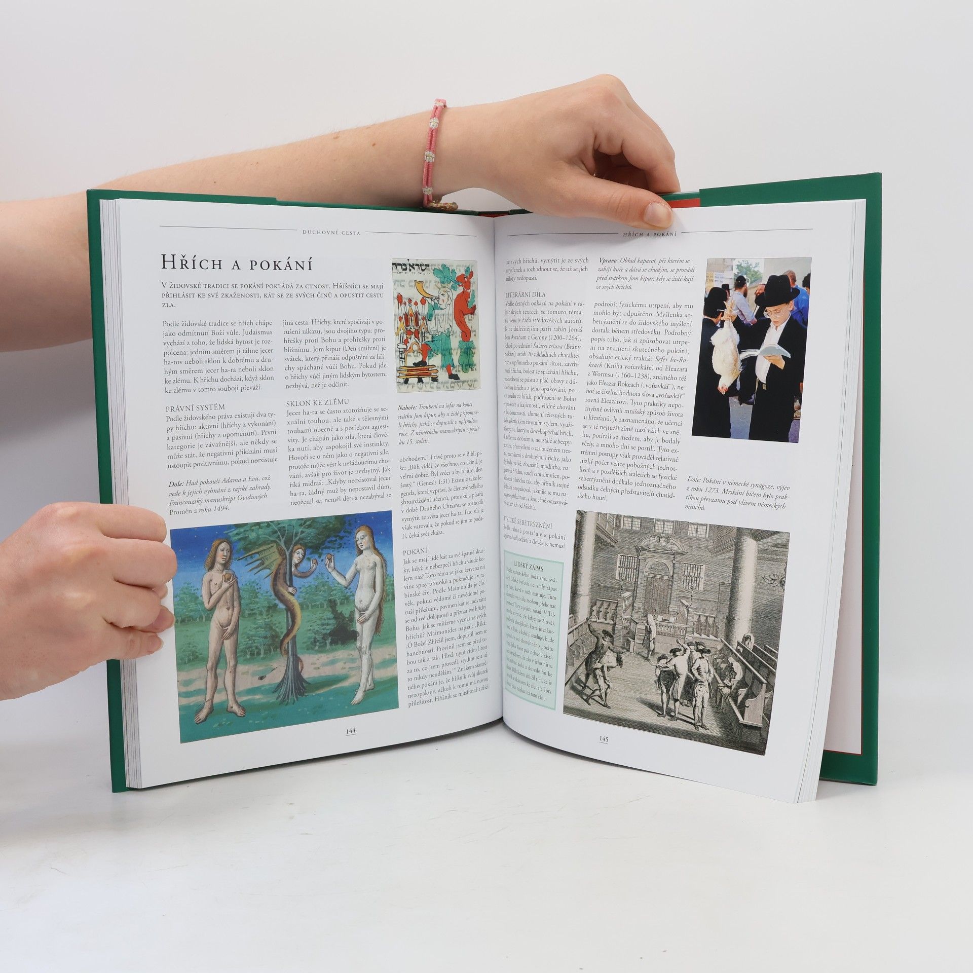 Dan Cohn Sherbok Judaismus