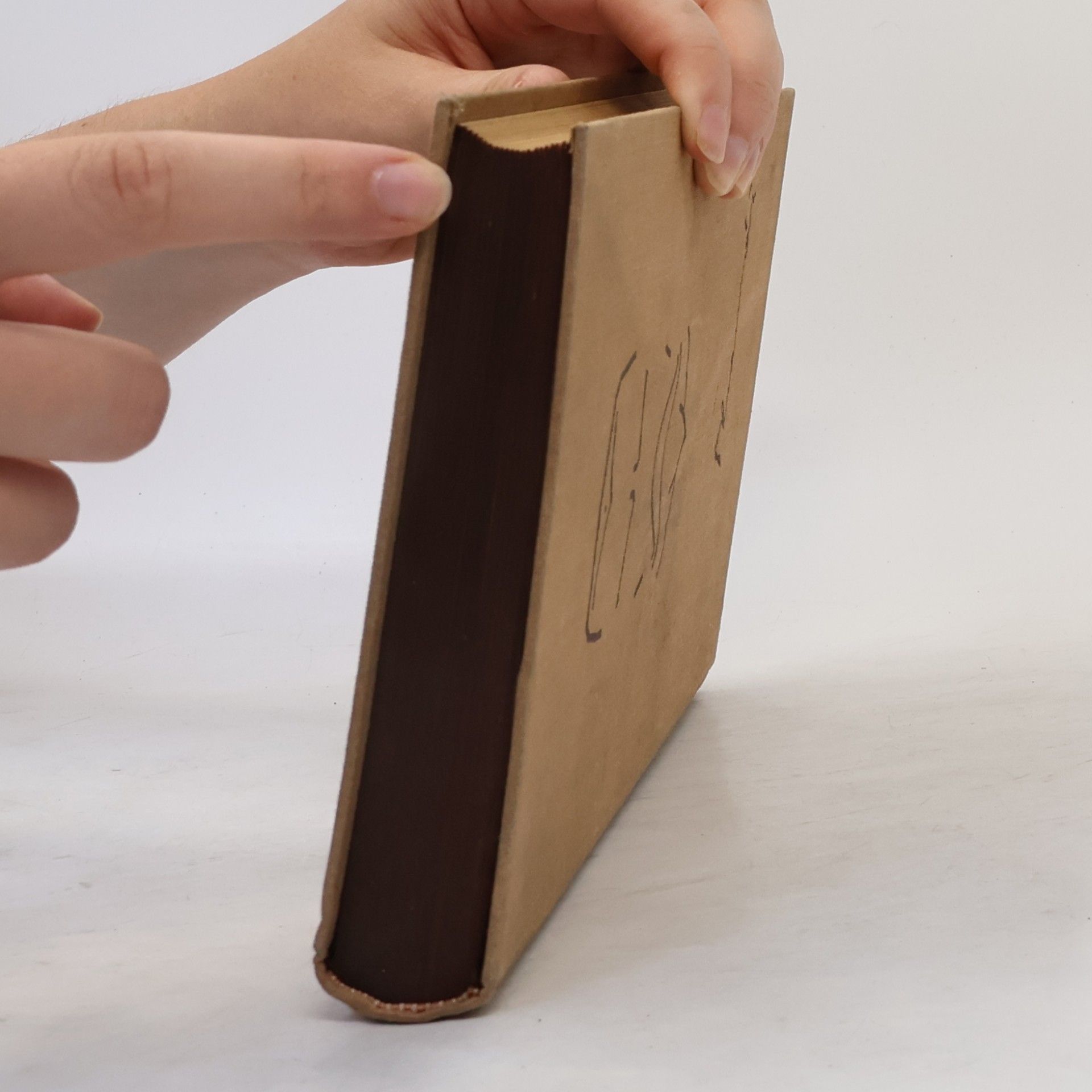 Karel Kramář Odkaz a pravda Dr. Karla Kramáře