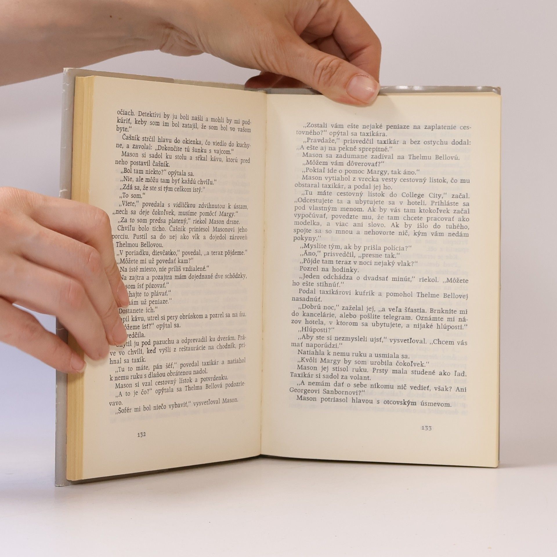 Erle Stanley Gardner Záloha na šťastie