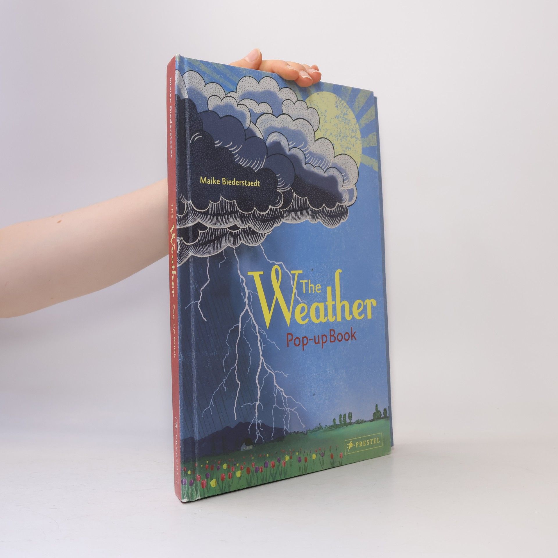 Michael Prestel Weather