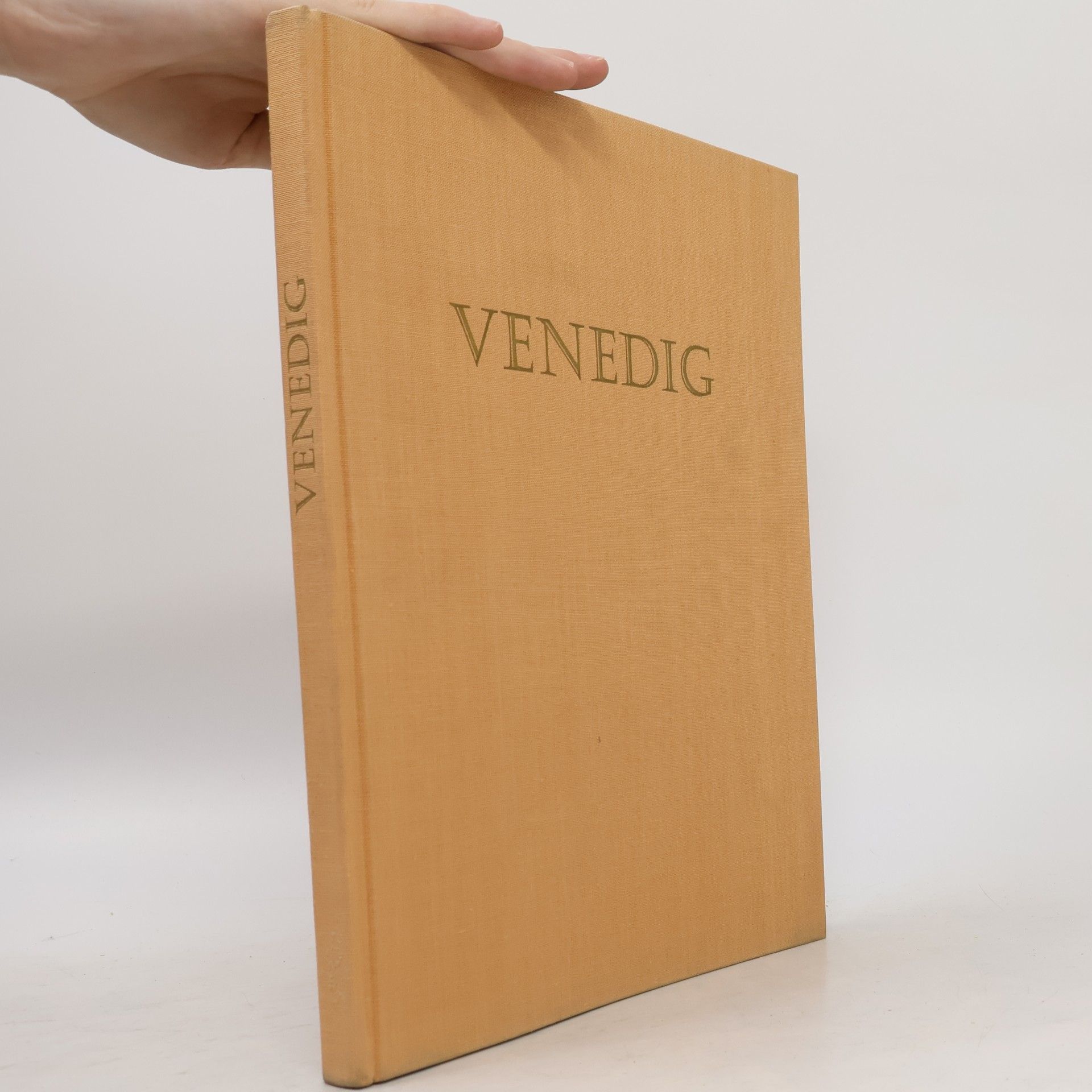 Kolektiv autorů Venedig