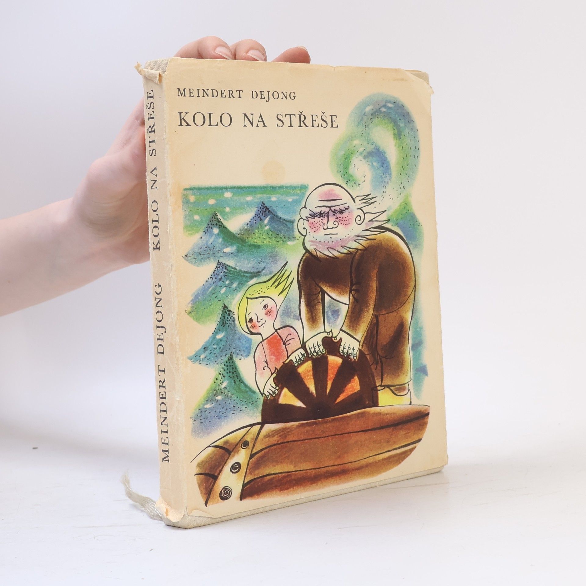 Meindert DeJong Kolo na střeše