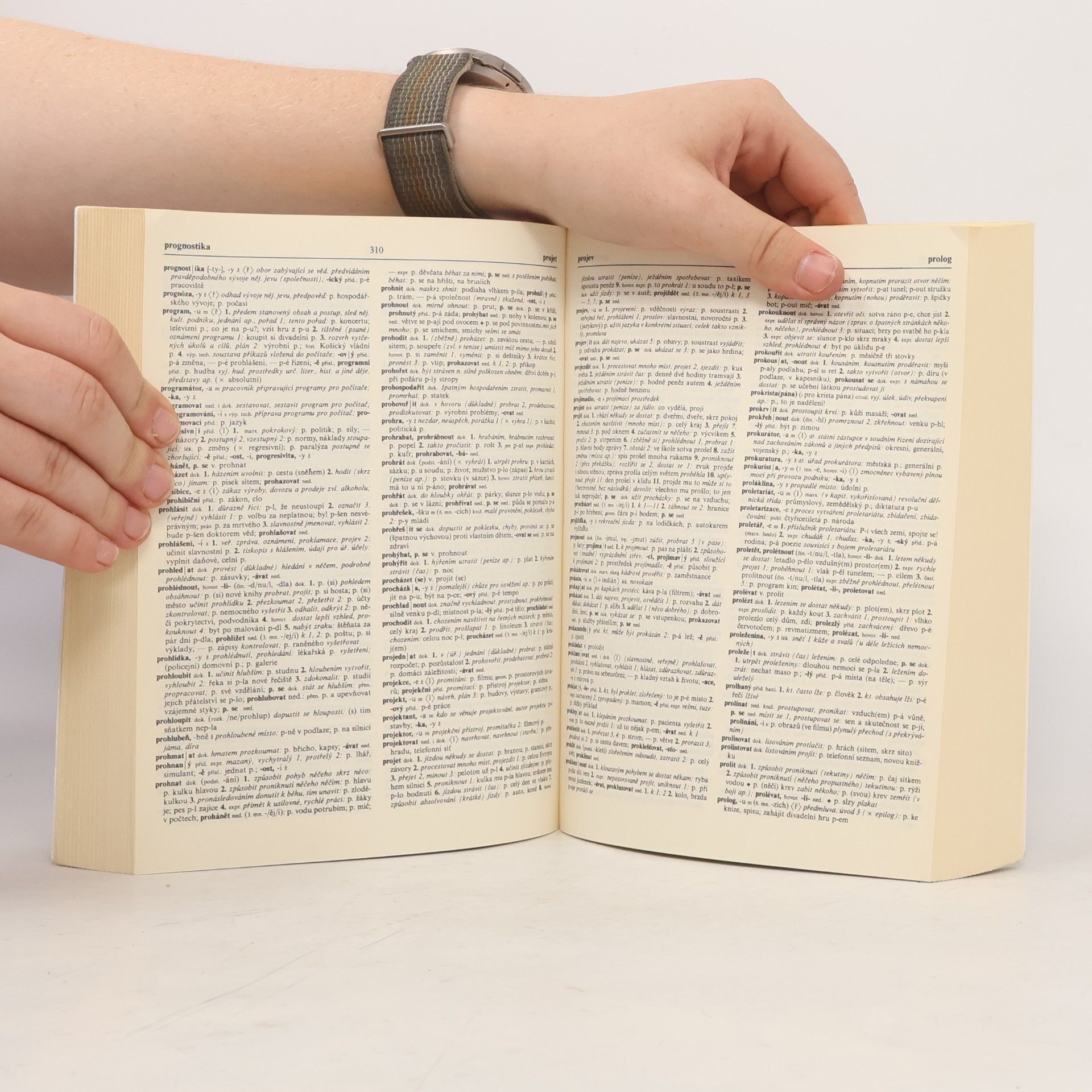 Autorenkollektiv Slovník spisovné češtiny pro školu a veřejnost