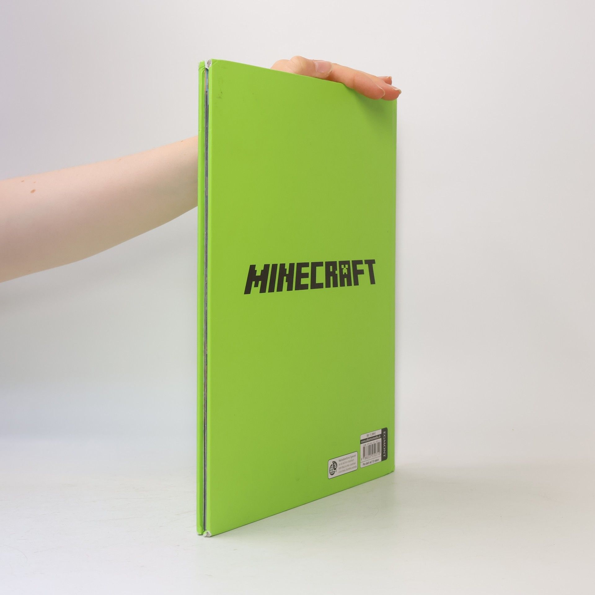 Ryan Marsh Minecraft. Knižka na celý rok