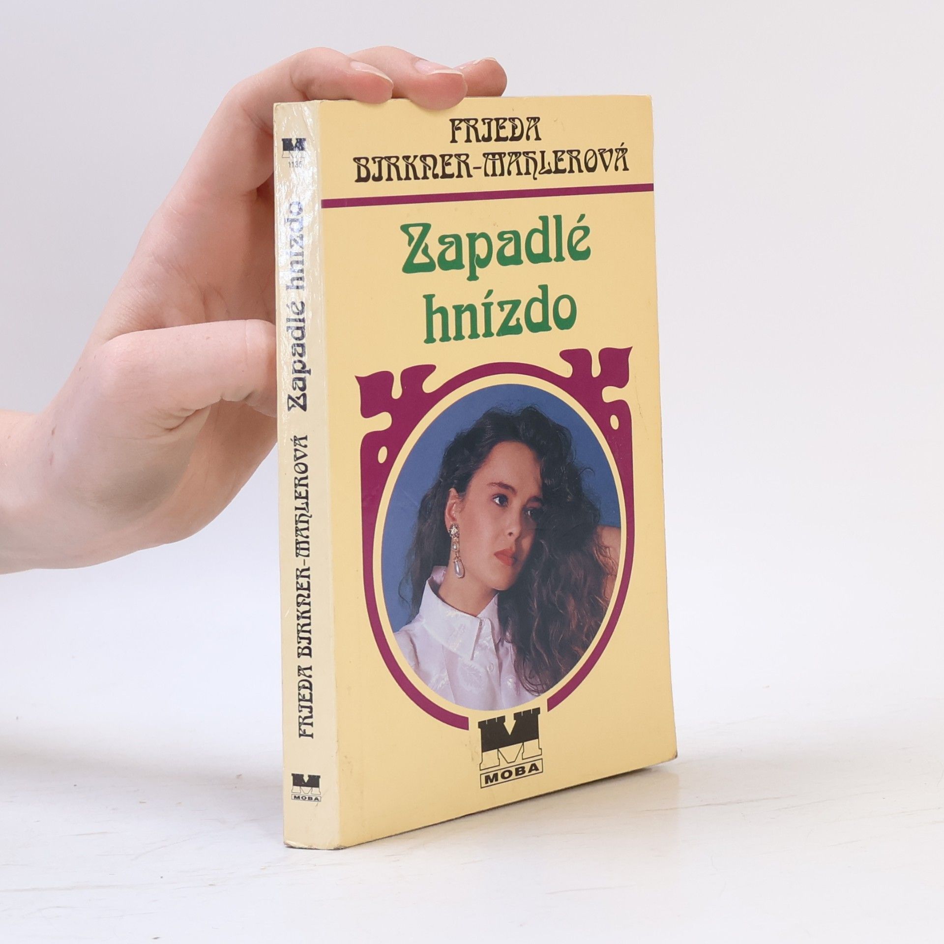 Friede Birkner Zapadlé hnízdo