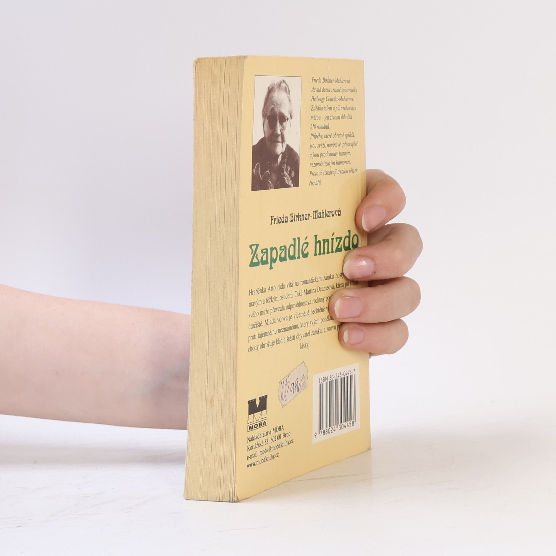 Friede Birkner Zapadlé hnízdo