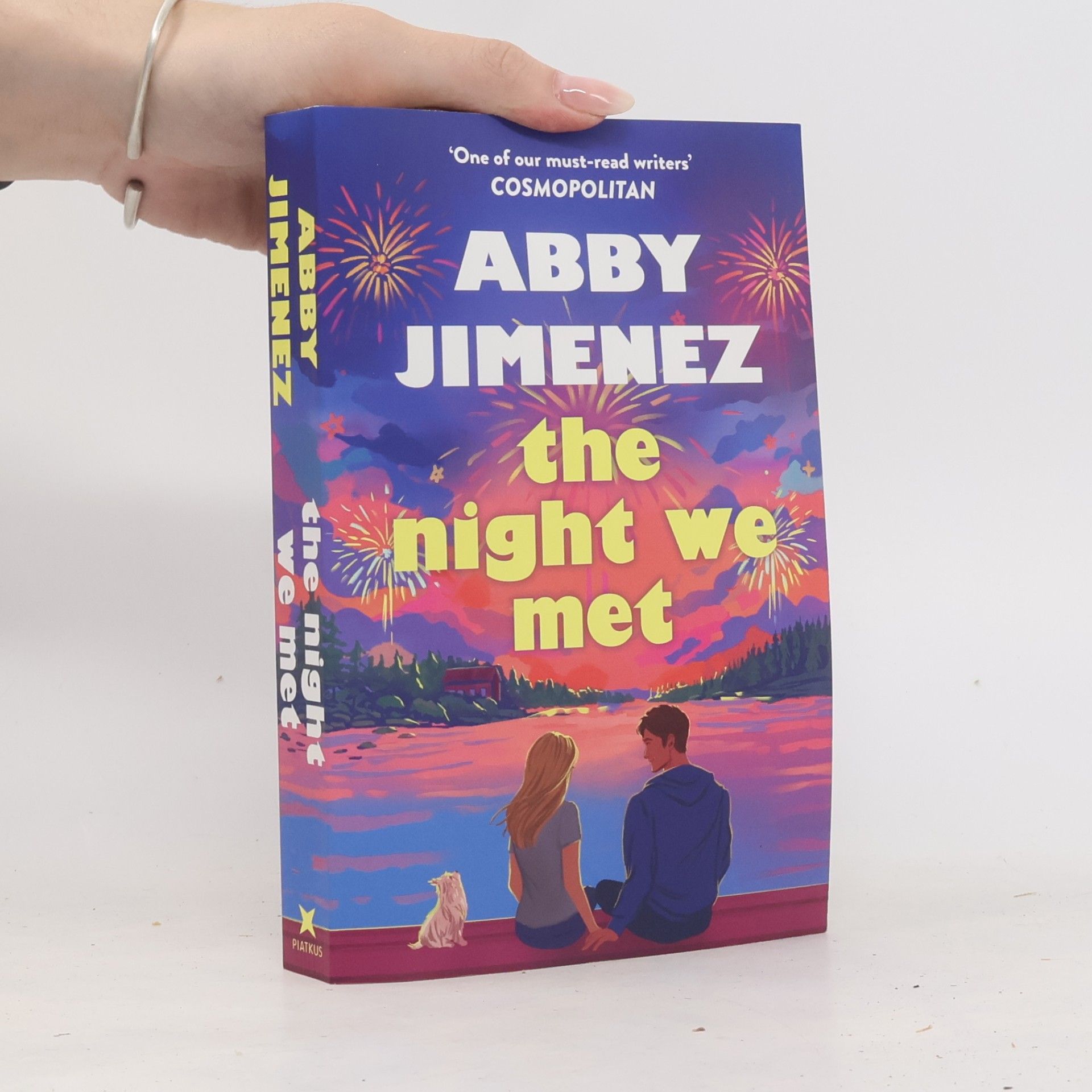 The Night We Met