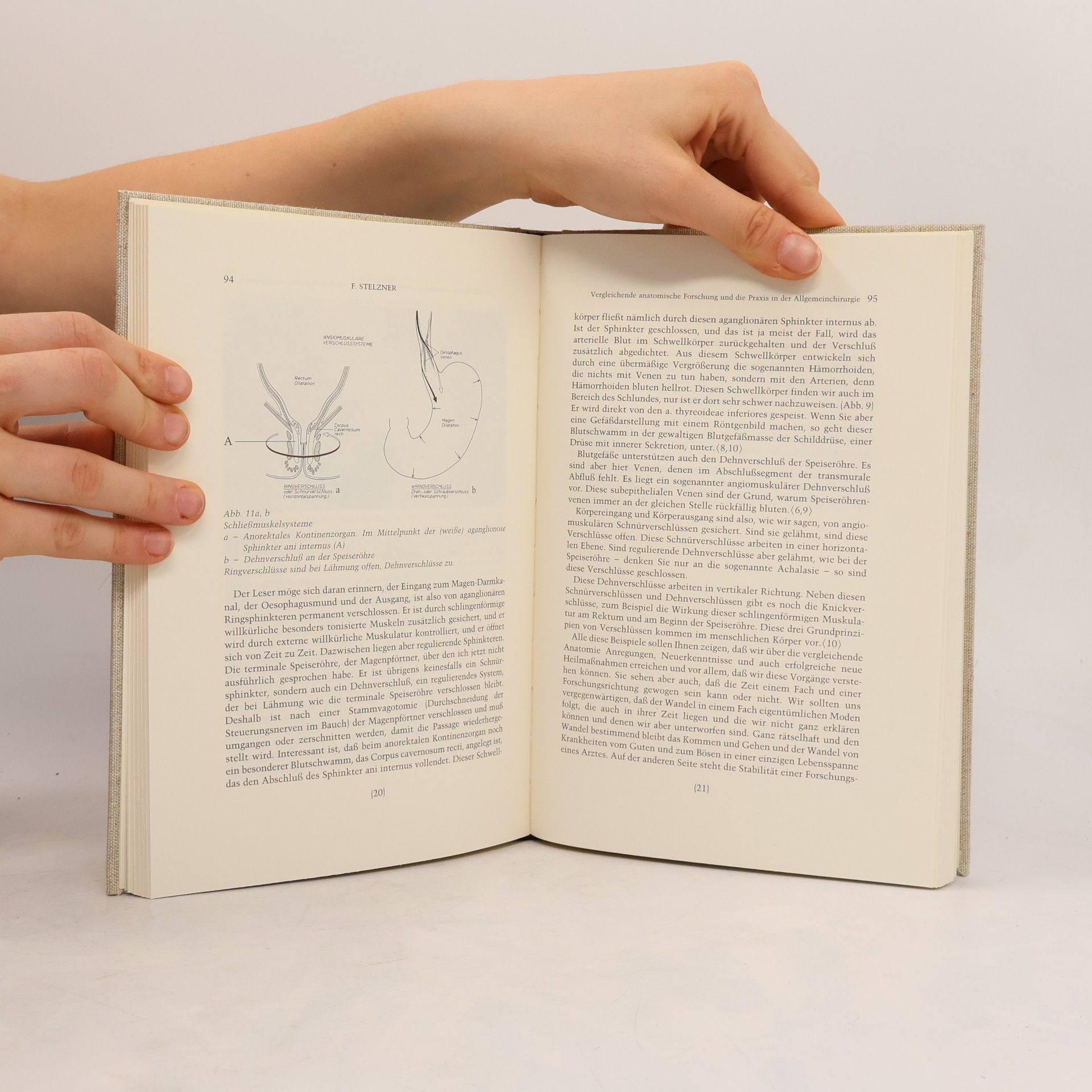 Forschungsbeiträge der Naturwissenschaftlichen Klasse / Sudetendeutsche Akademie der Wissenschaften und Künste