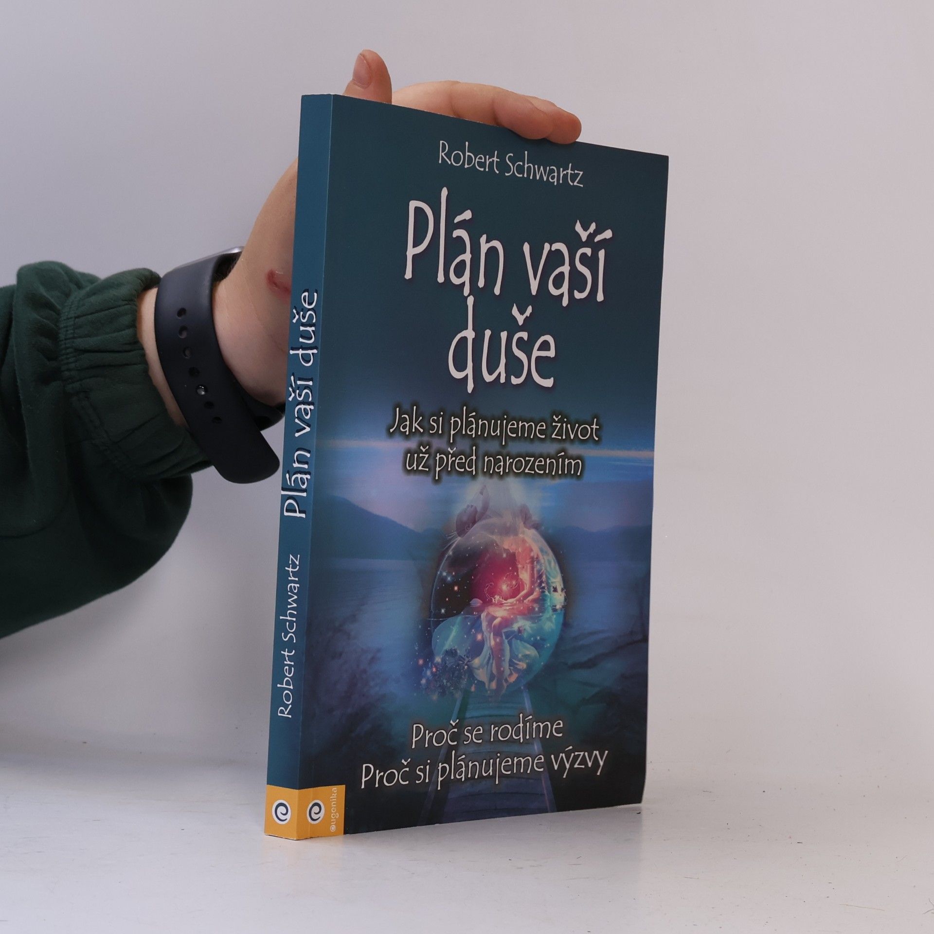 Zuzana Šestáková Plán vaší duše. Jak si plánujeme život už před narozením