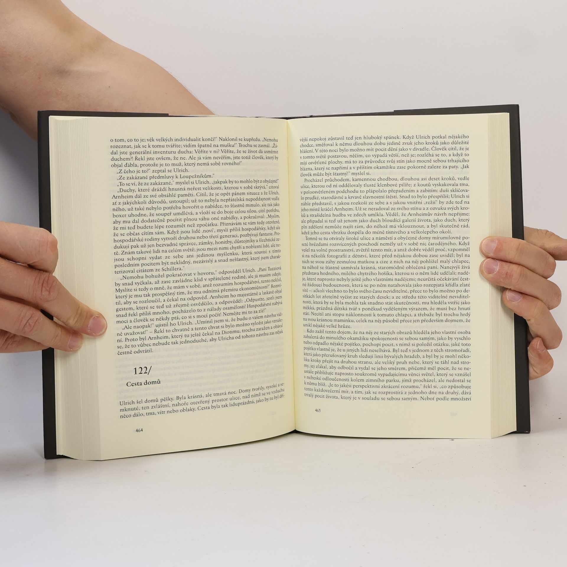 Robert Musil Muž bez vlastností