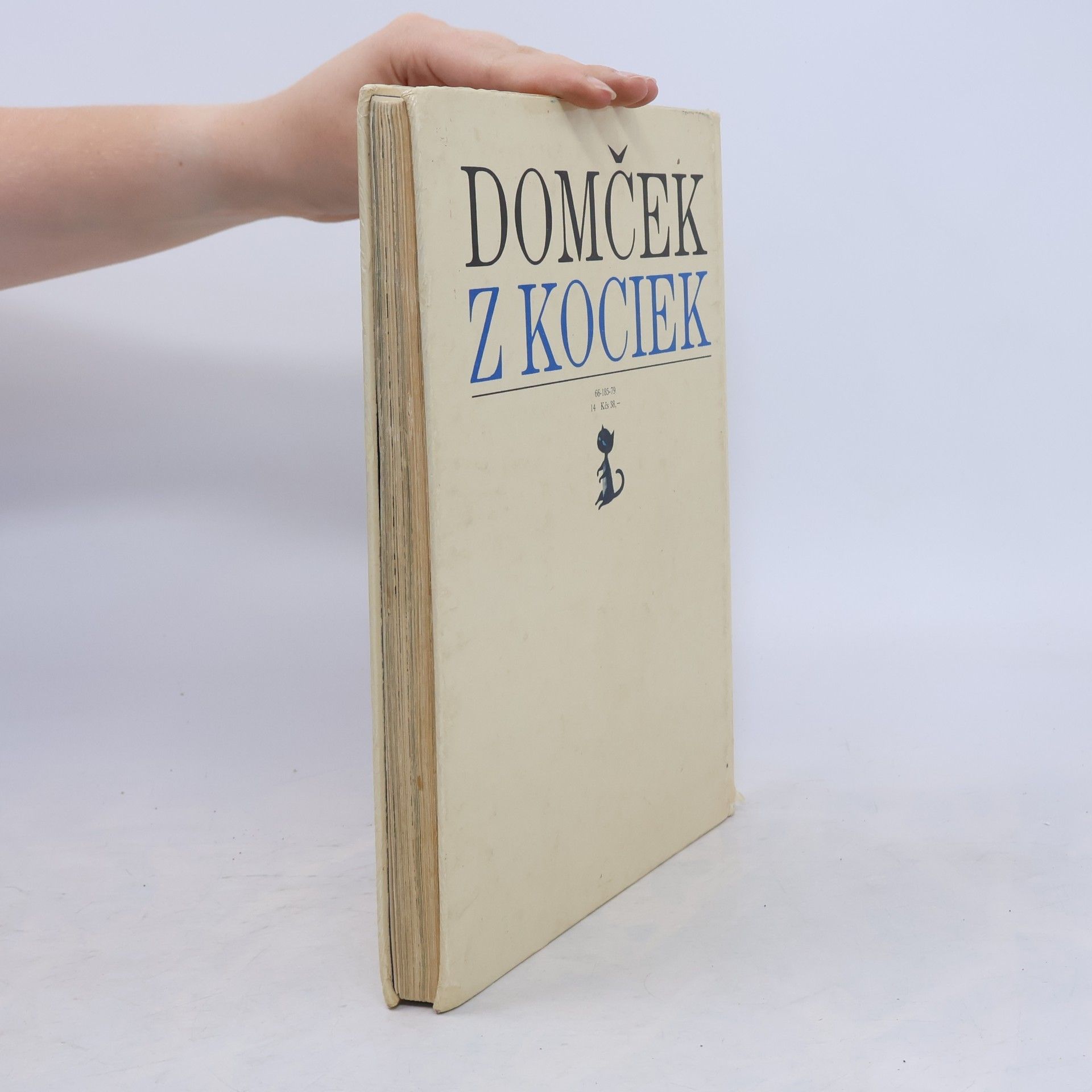 Kolektiv autorů Domček z kociek