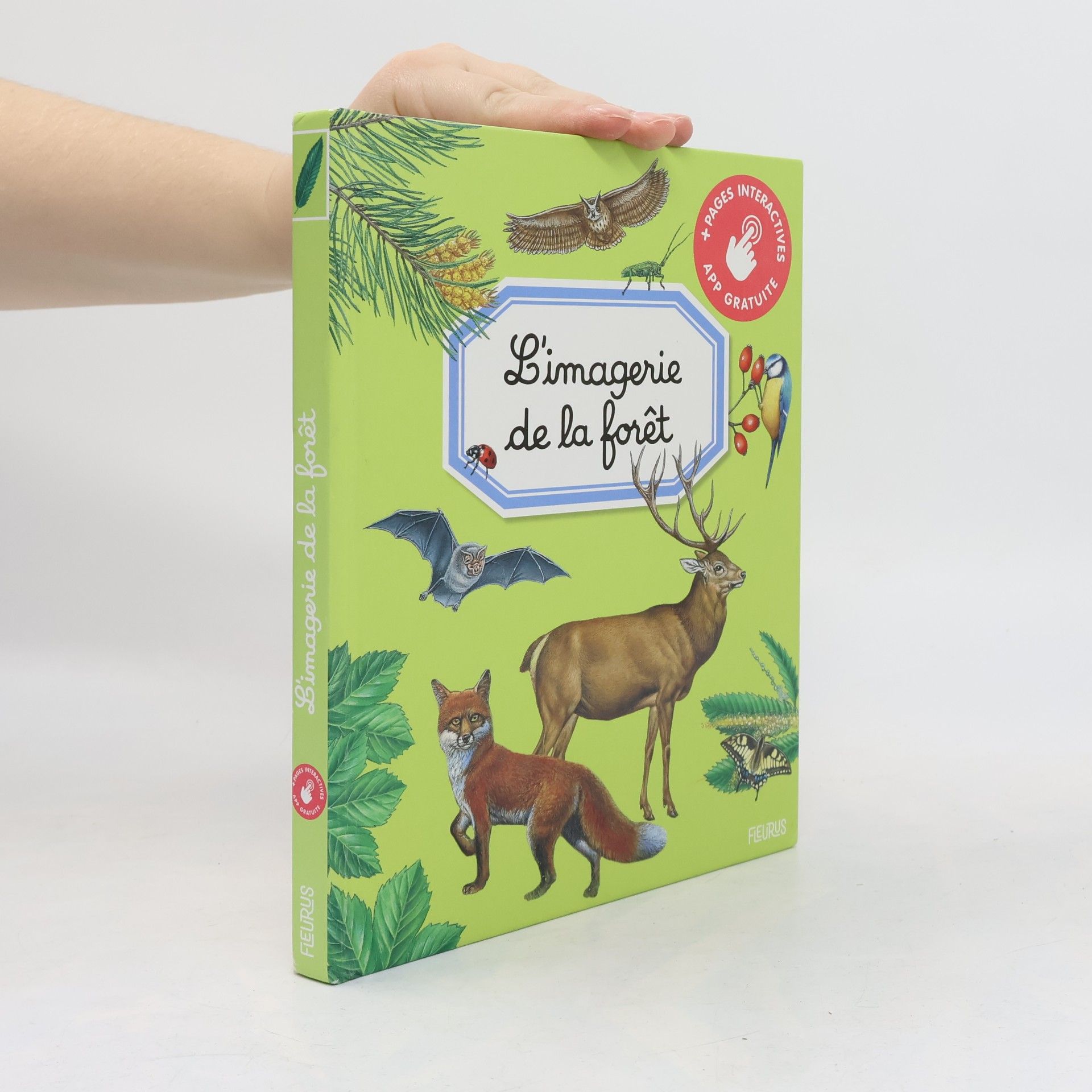 L'imagerie de la forêt
