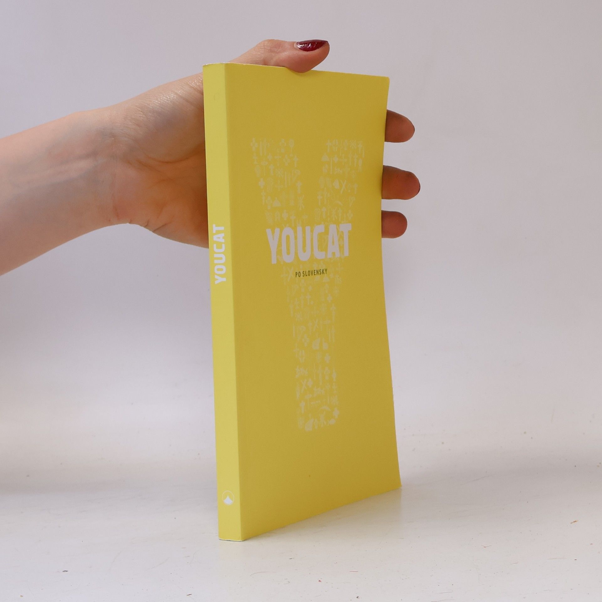 kolektiv Youcat po slovensky : Katechizmus Katolíckej cirkvi pre mladých