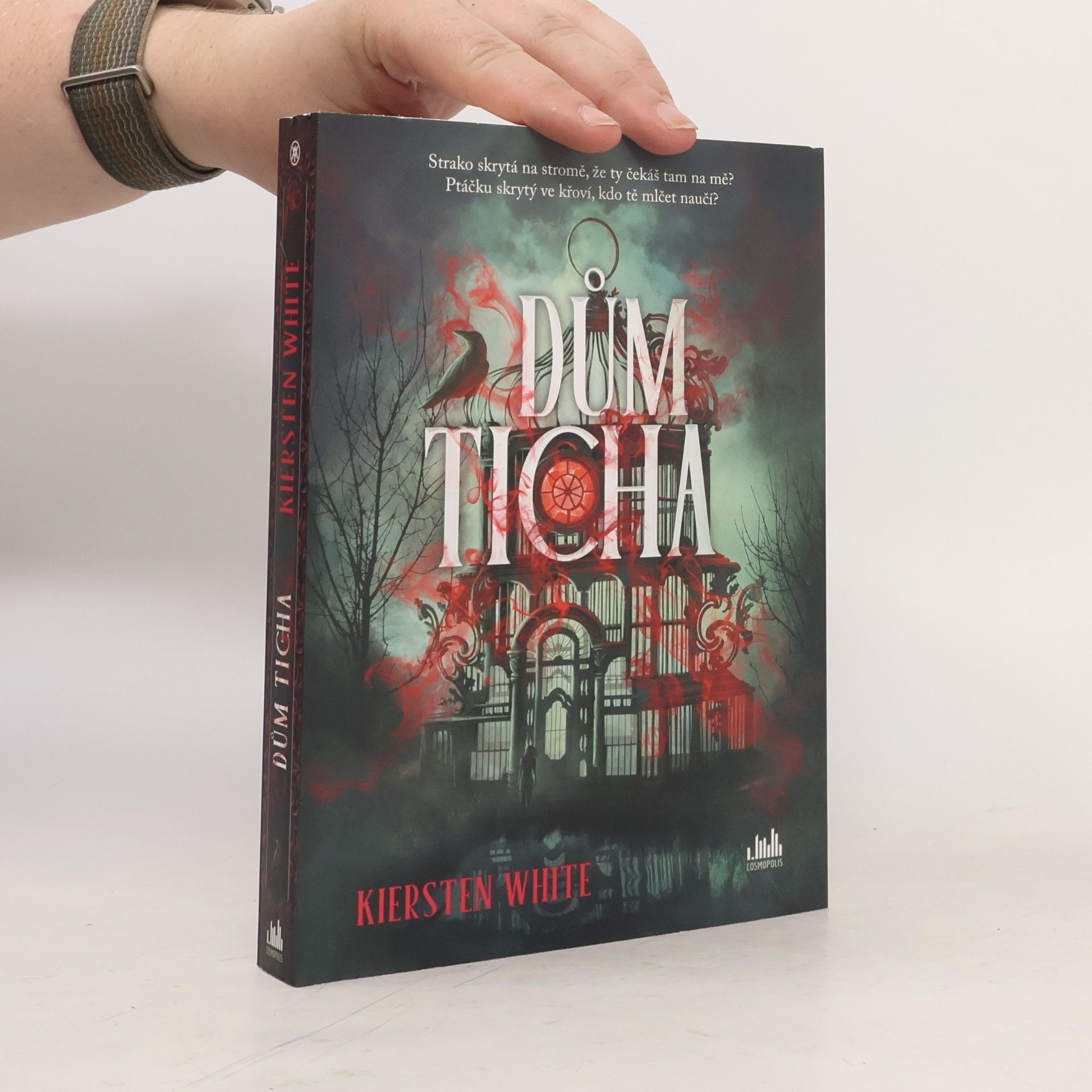 Kiersten White Dům ticha