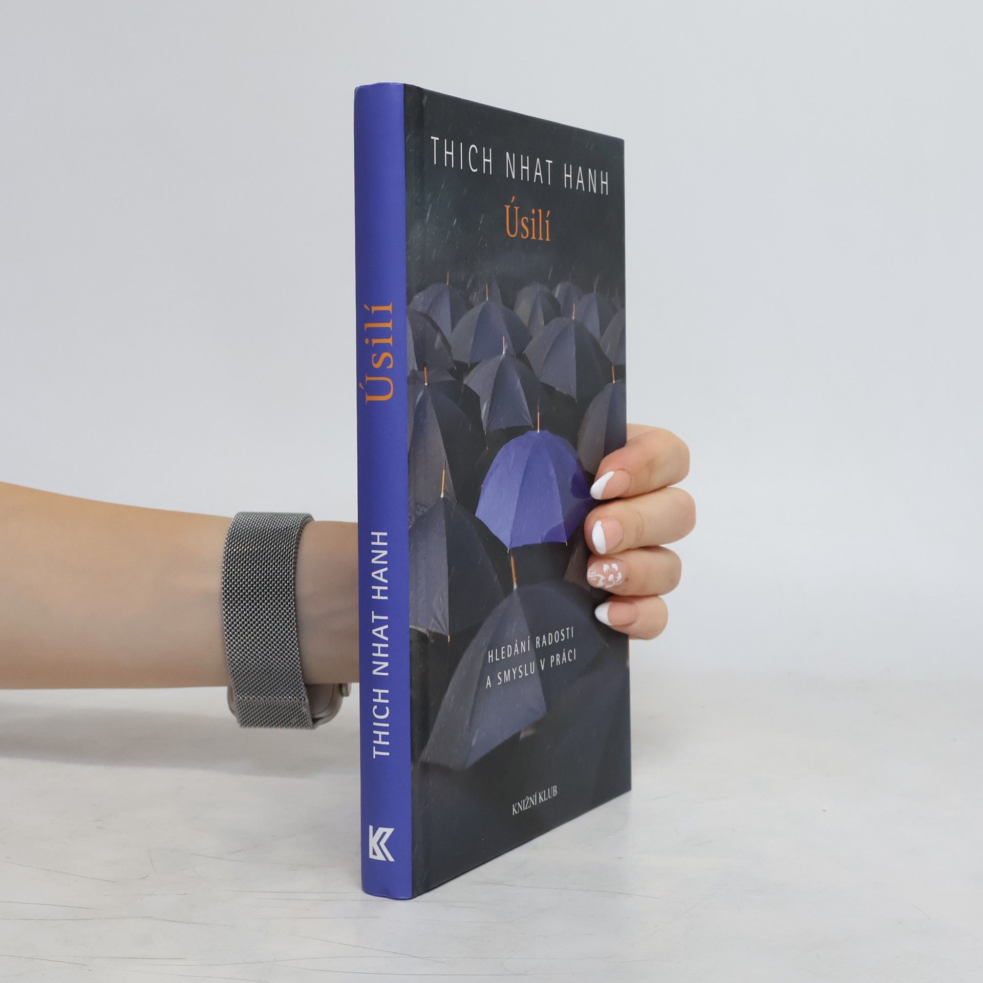 Thích Nhất Hạnh Úsilí. Hledání radosti a smyslu v práci