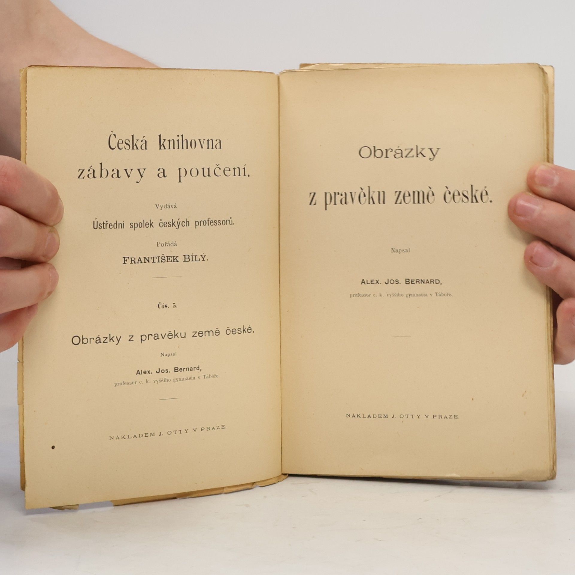 Alexander Bernard Obrázky z pravěku země české