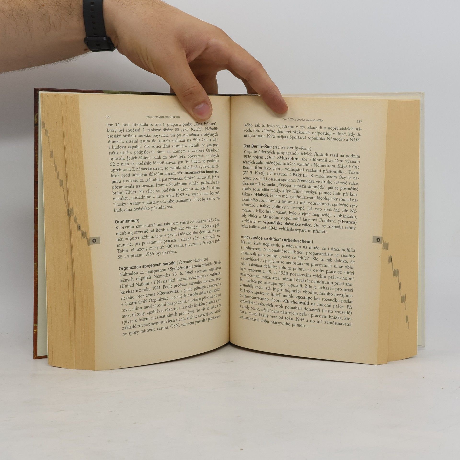 Friedemann Bedürftig Třetí říše a druhá světová válka: Lexikon německého nacionálního socialismu 1933-1945