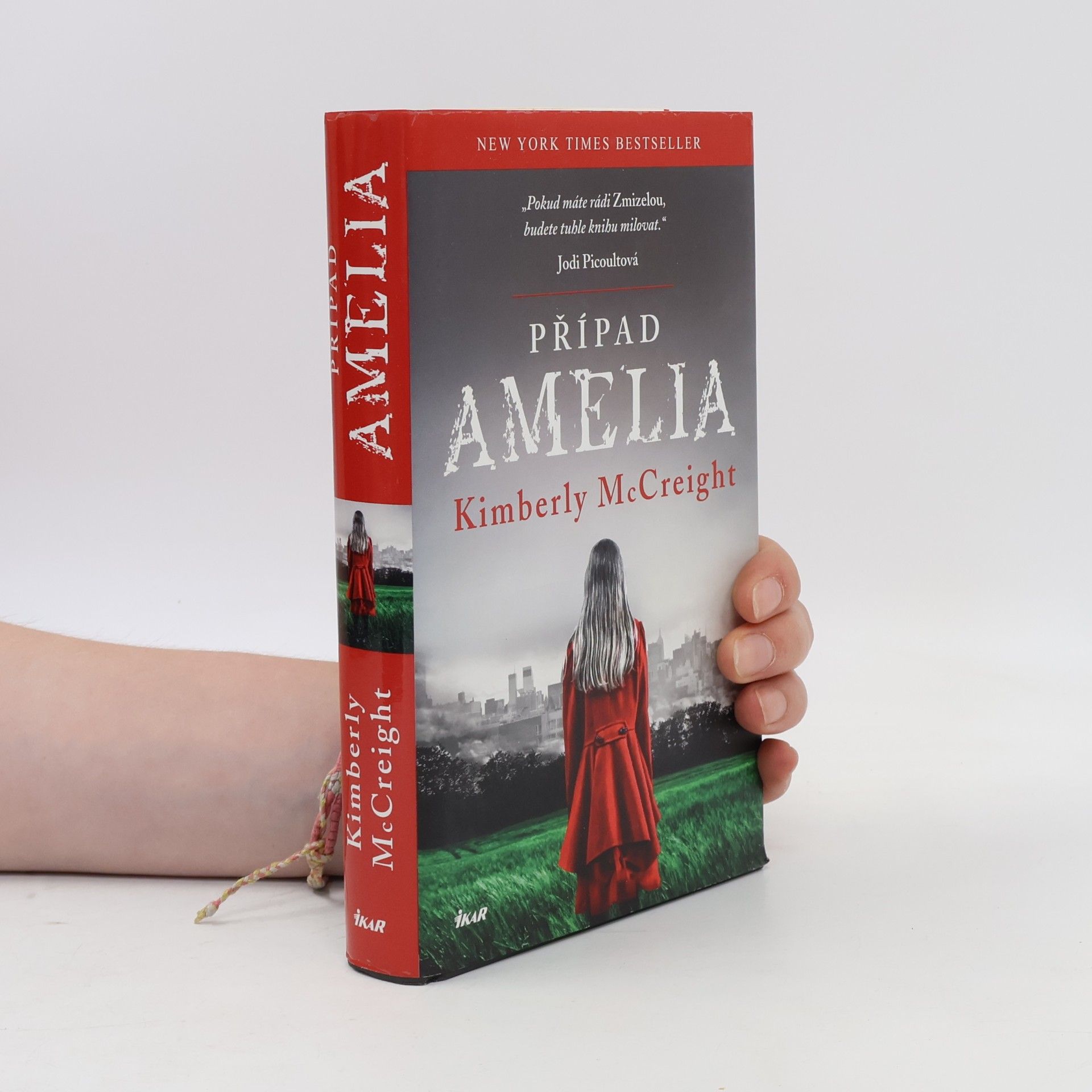 Kimberly McCreight Případ Amelia