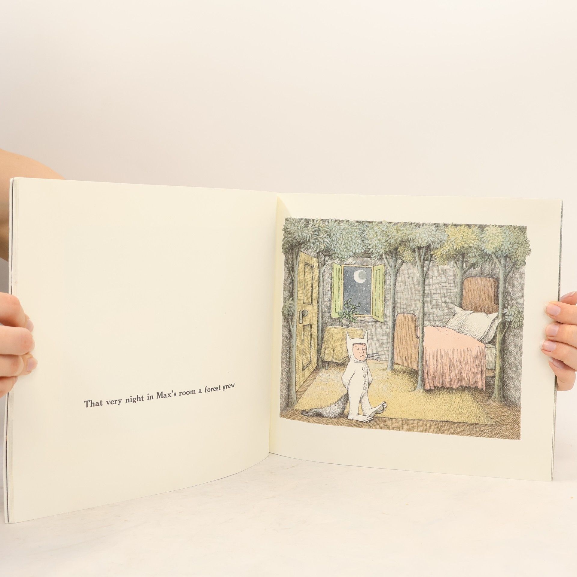 Maurice Sendak Where the Wild Things Are