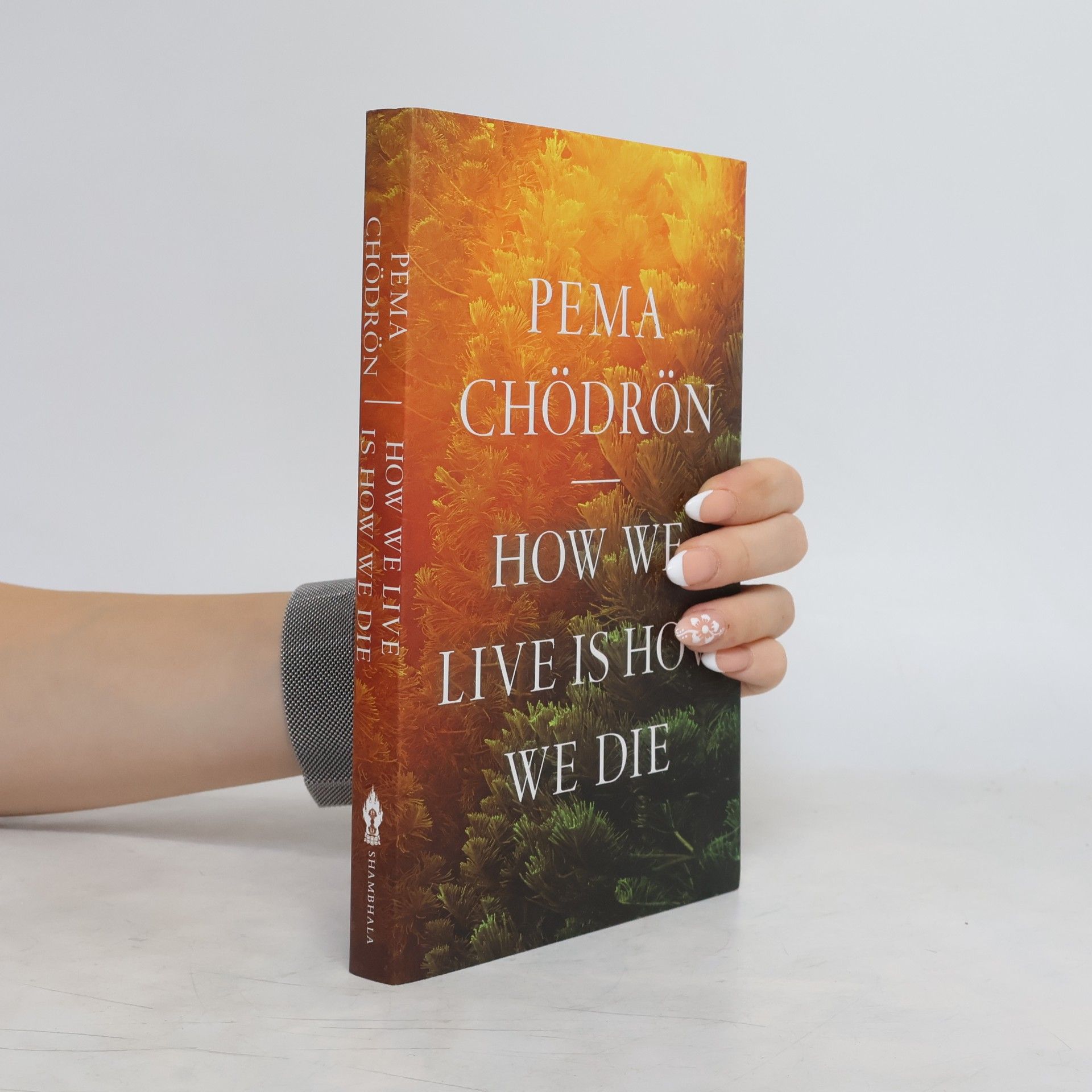 Pema Choedroen How We Live Is How We Die