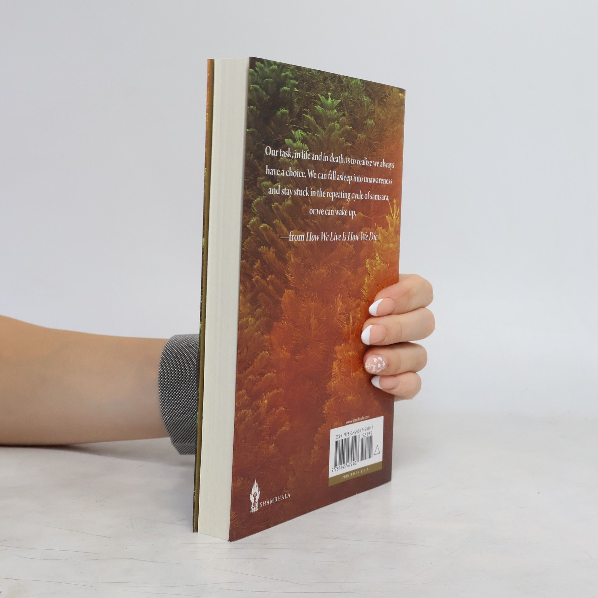 Pema Choedroen How We Live Is How We Die