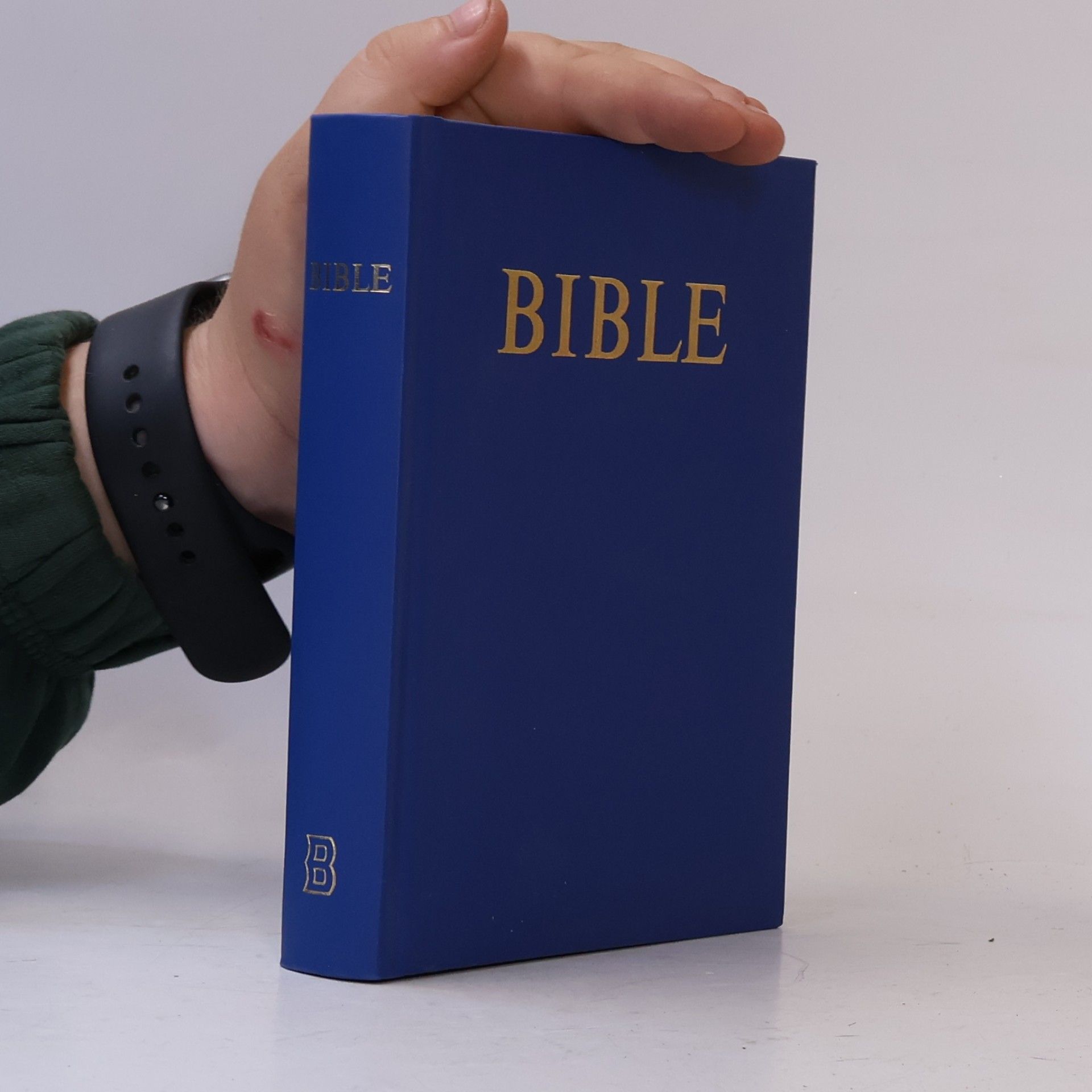 Autorenkollektiv Bible