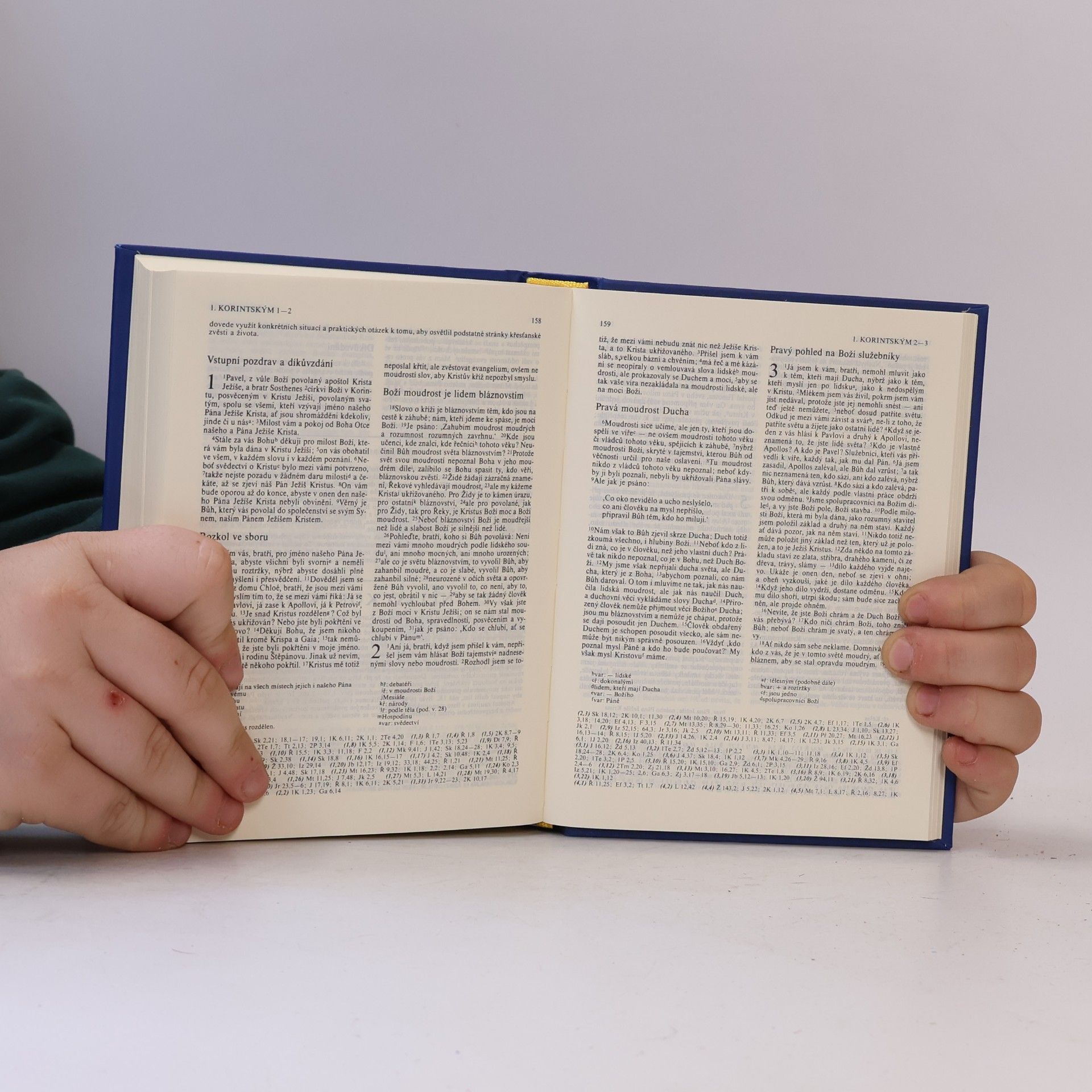 Various authors Bible