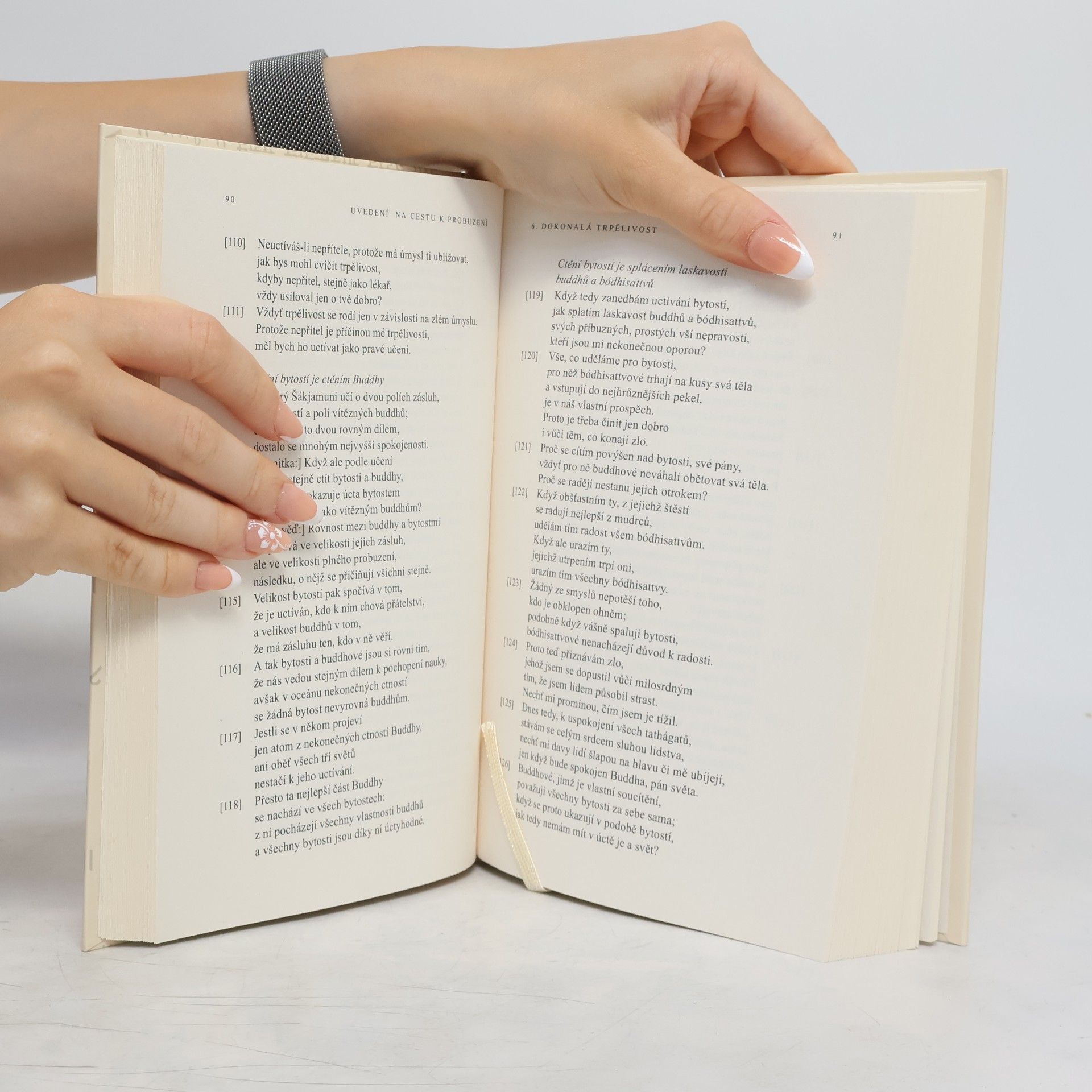 Various authors Šántidéva: Uvedení na cestu k probuzení
