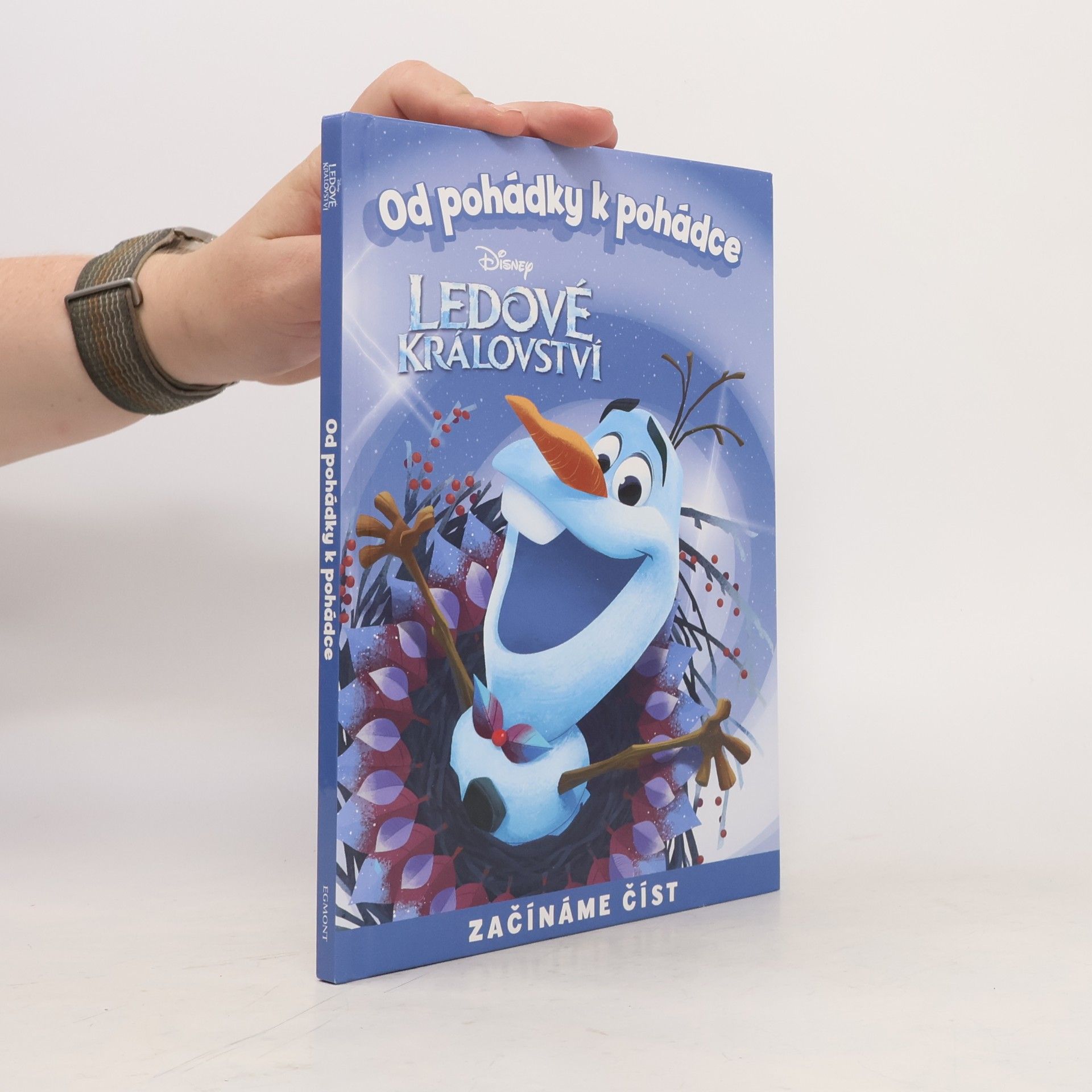 Od pohádky k pohádce. Ledové království