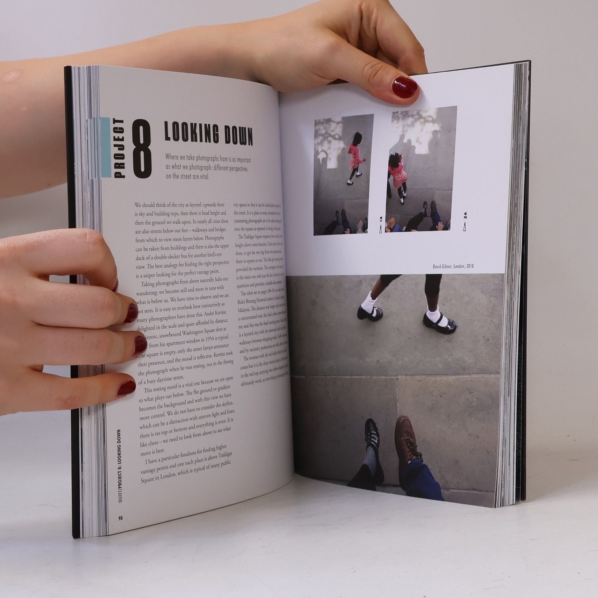 David Gibson The Street Photographer's Manual