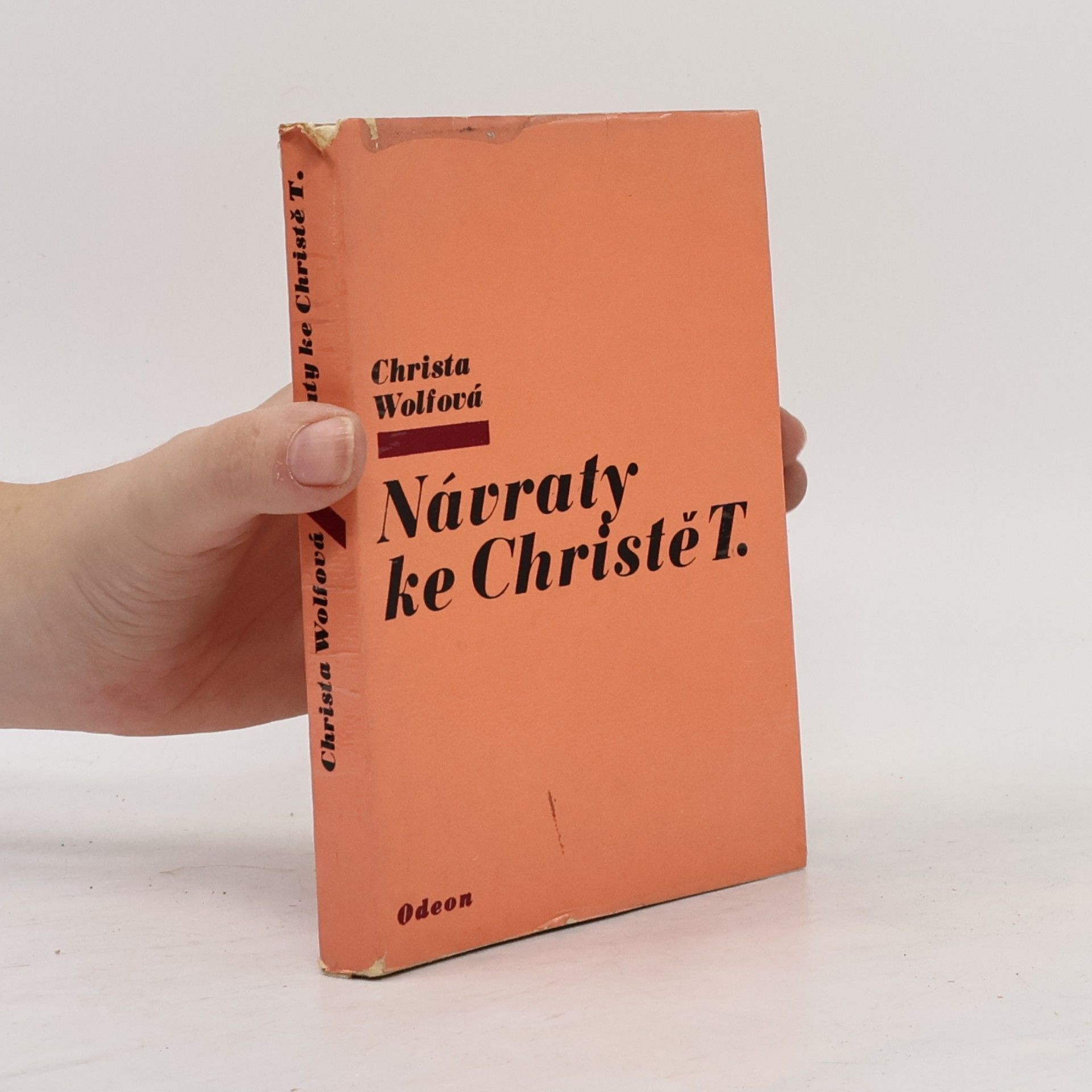 Christa Wolf Návraty ke Christě T.