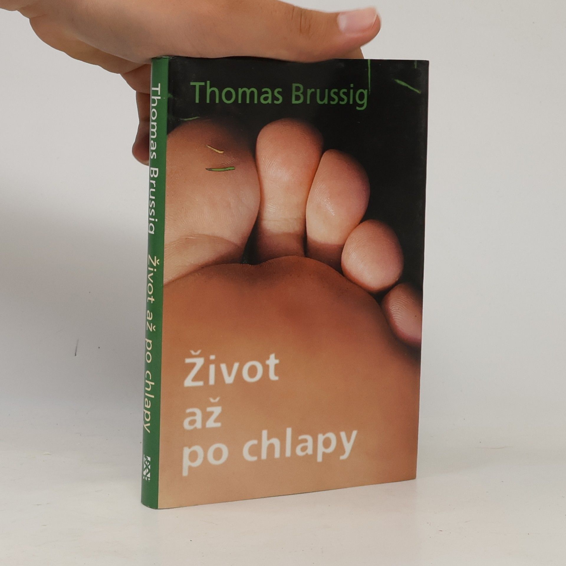 Thomas Brussig Život až po chlapy